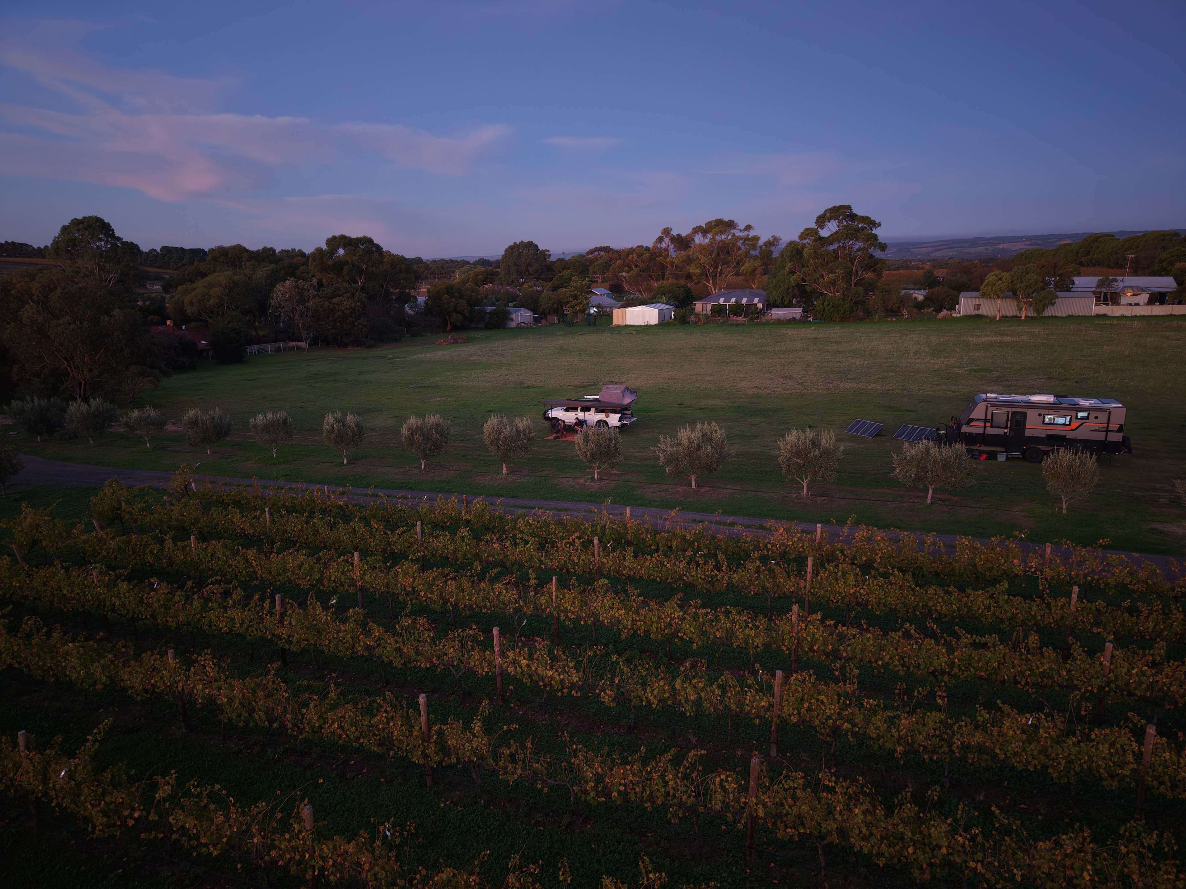 Six Strings - McLaren Vale Vineyard