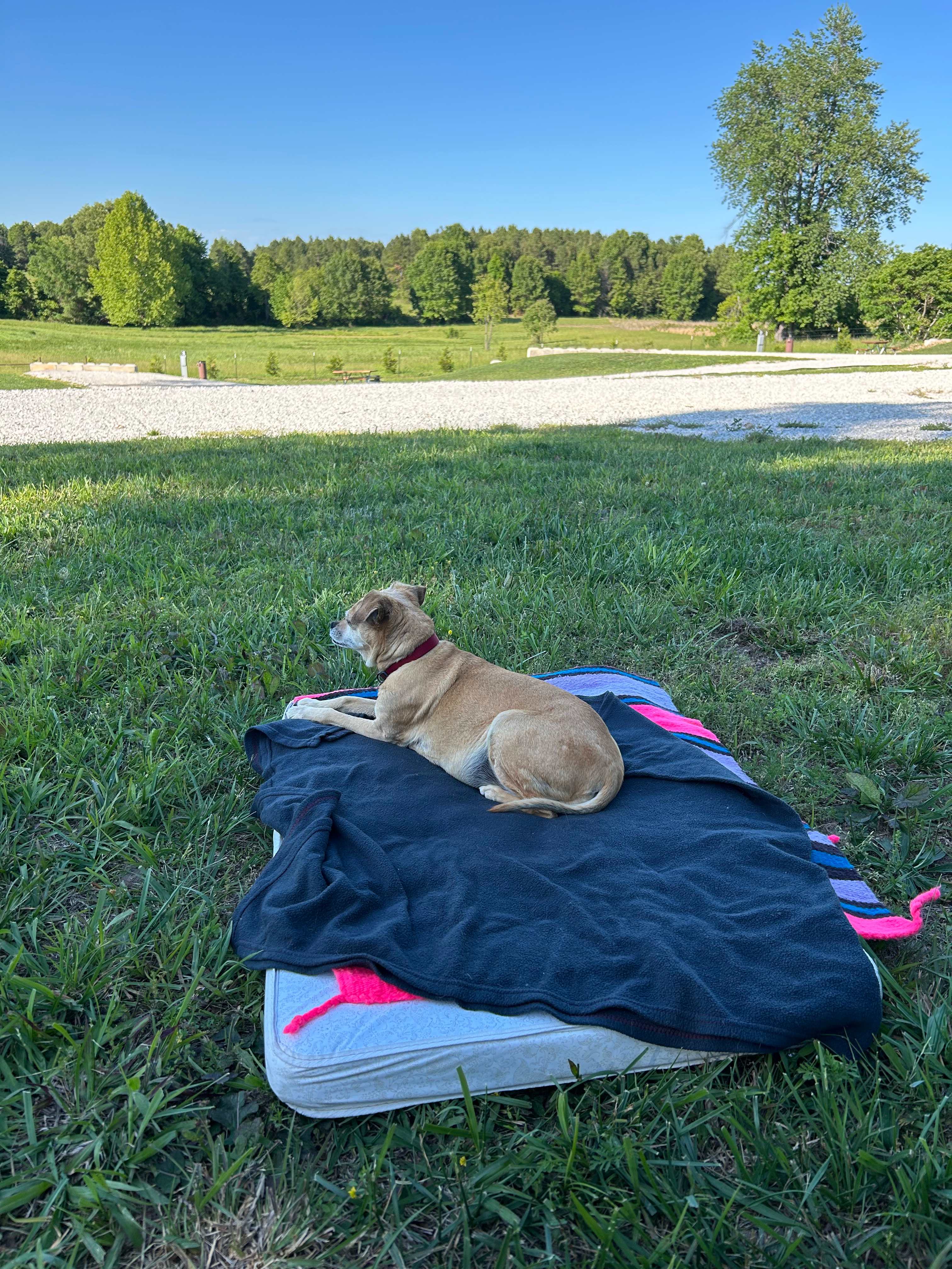 Flatwoods Mountain RV Park