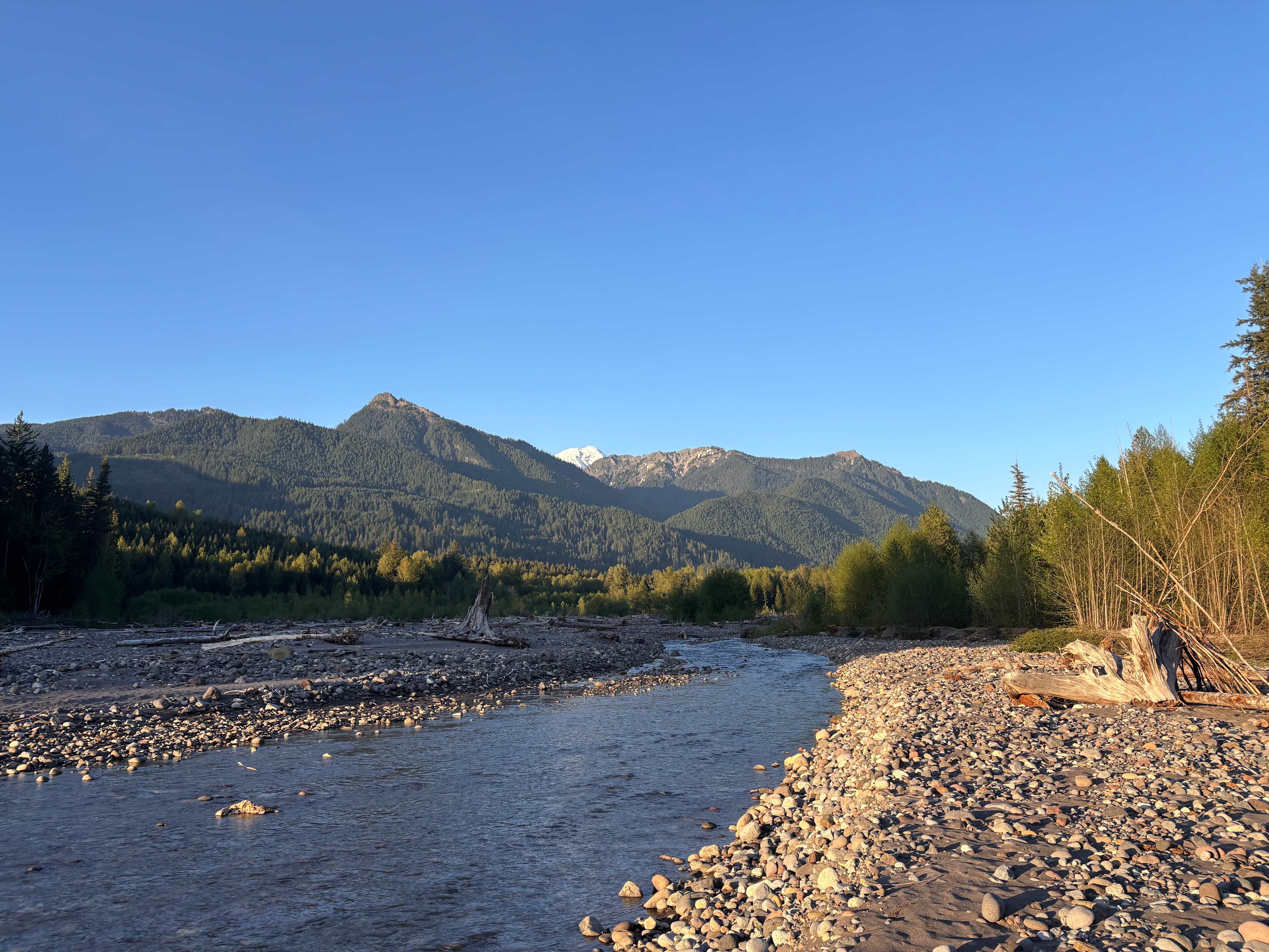 Mt Rainier Reconnect
