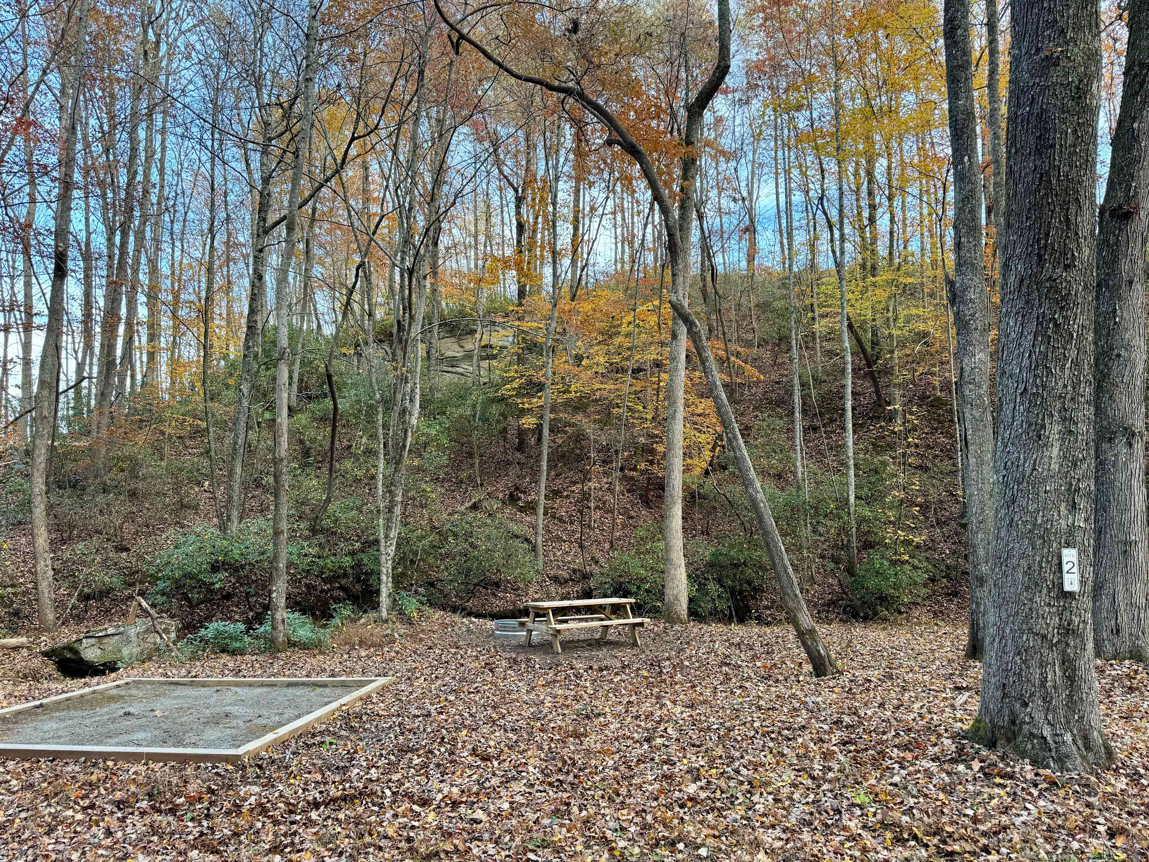 Picture of the site