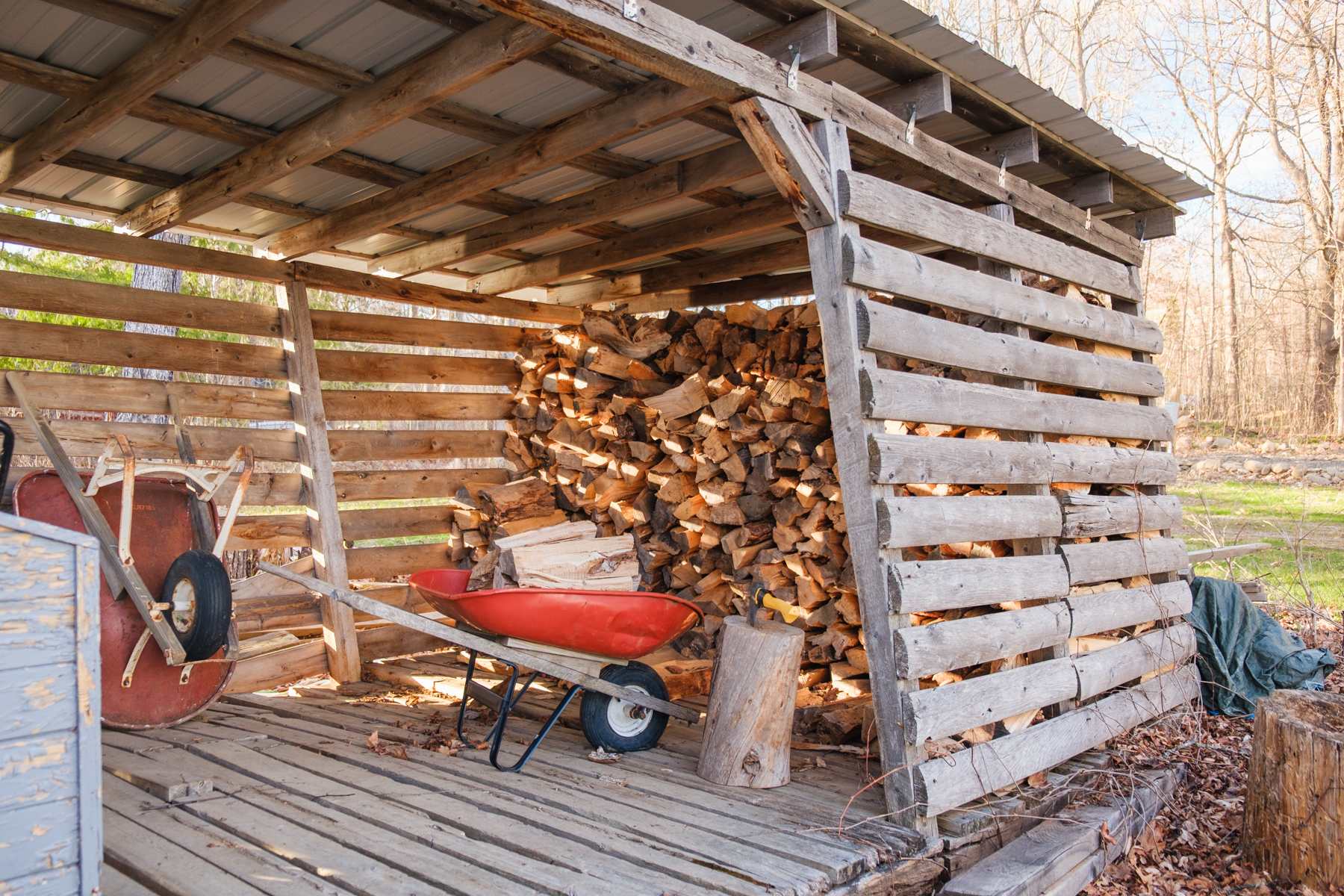 Lots of firewood!