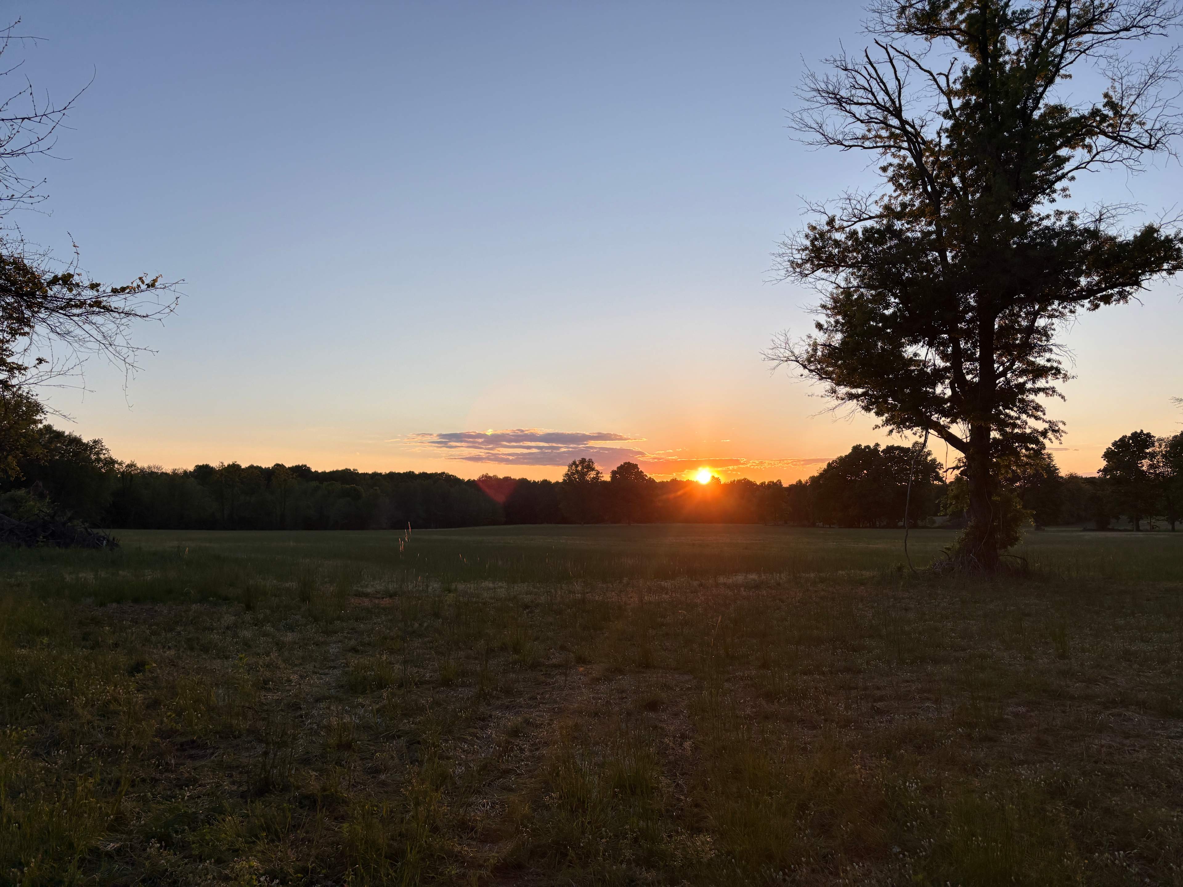 Horse Farm Camping