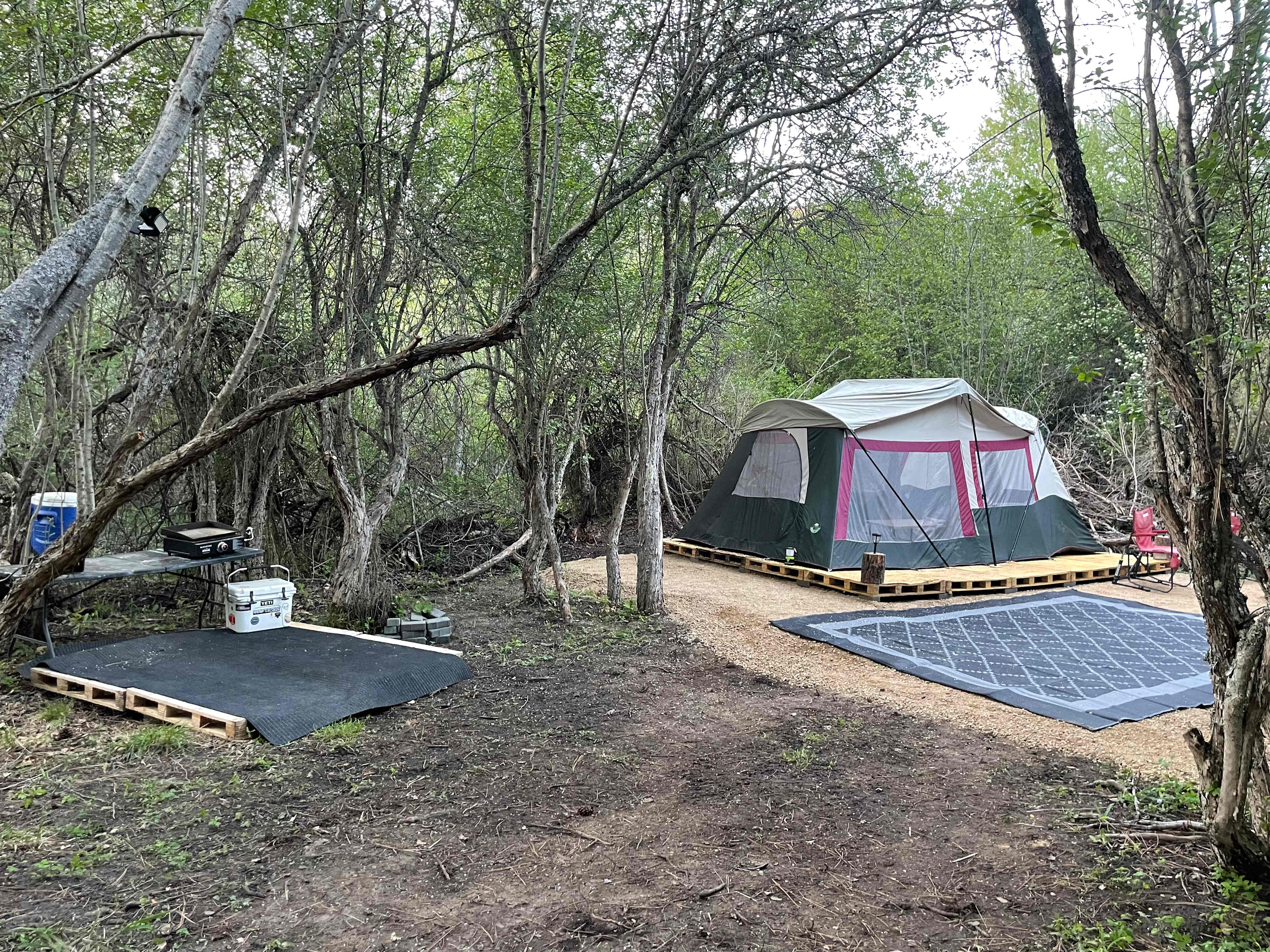 Picture of the site
