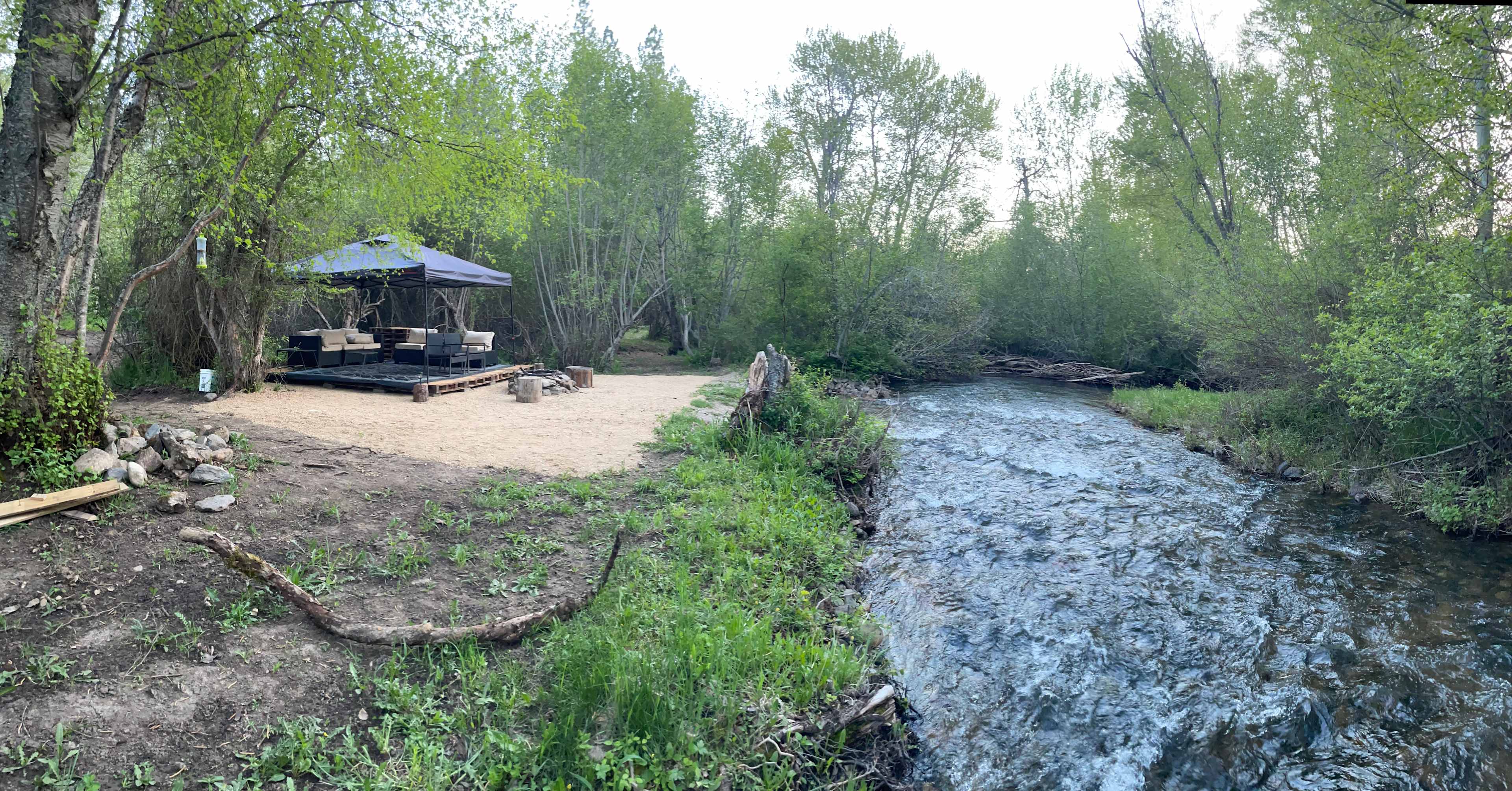 Picture of the site