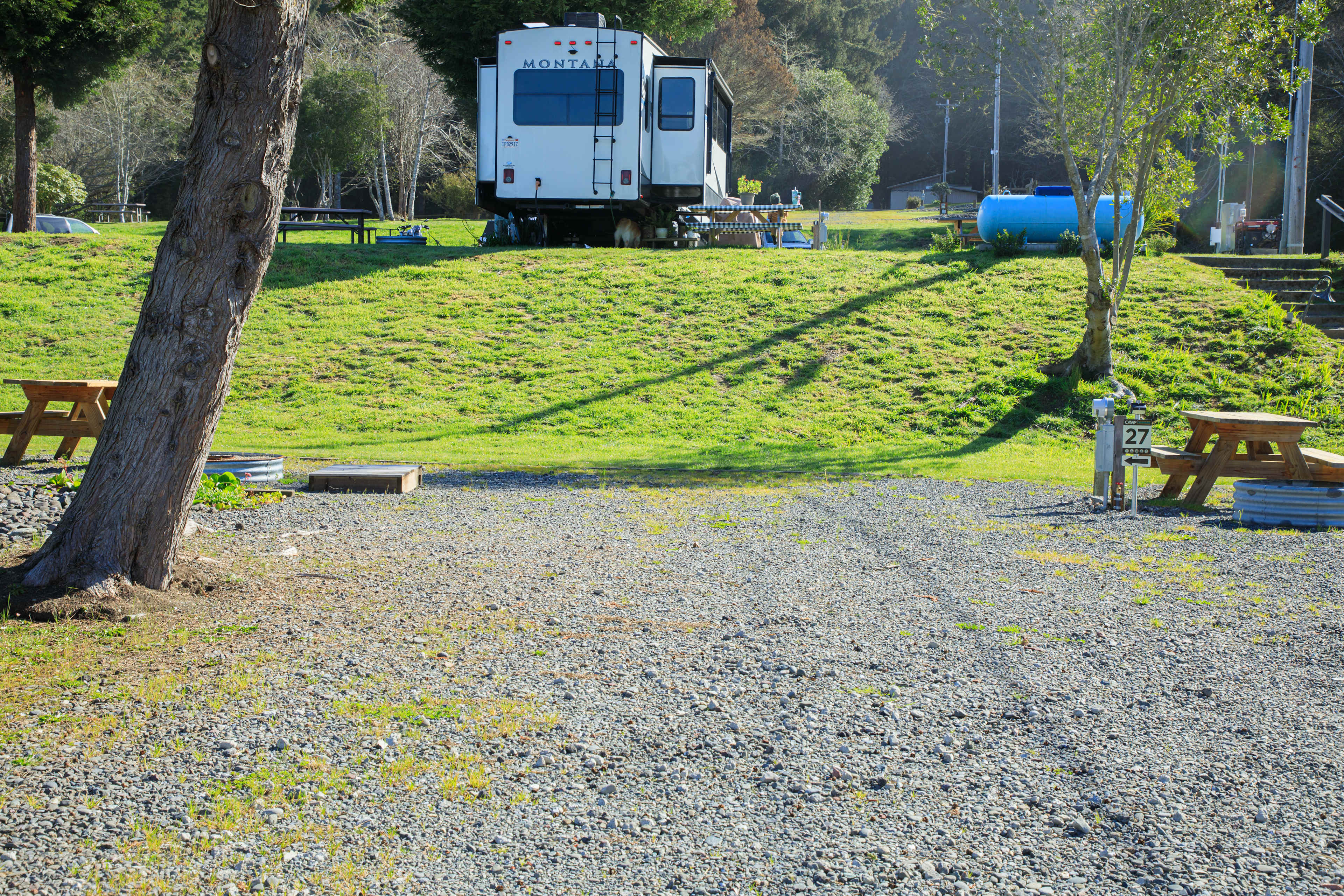 Picture of the site
