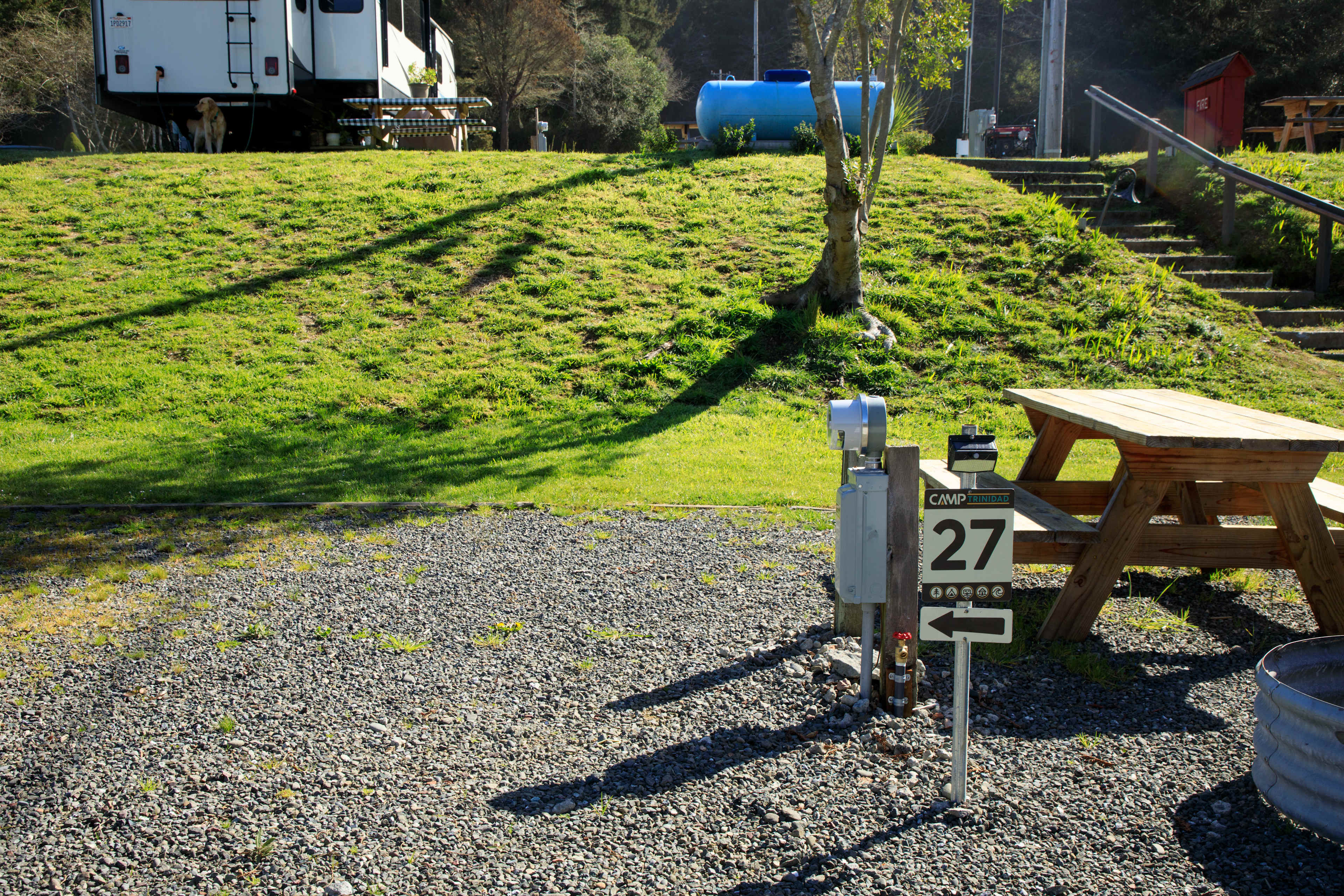 Picture of the site