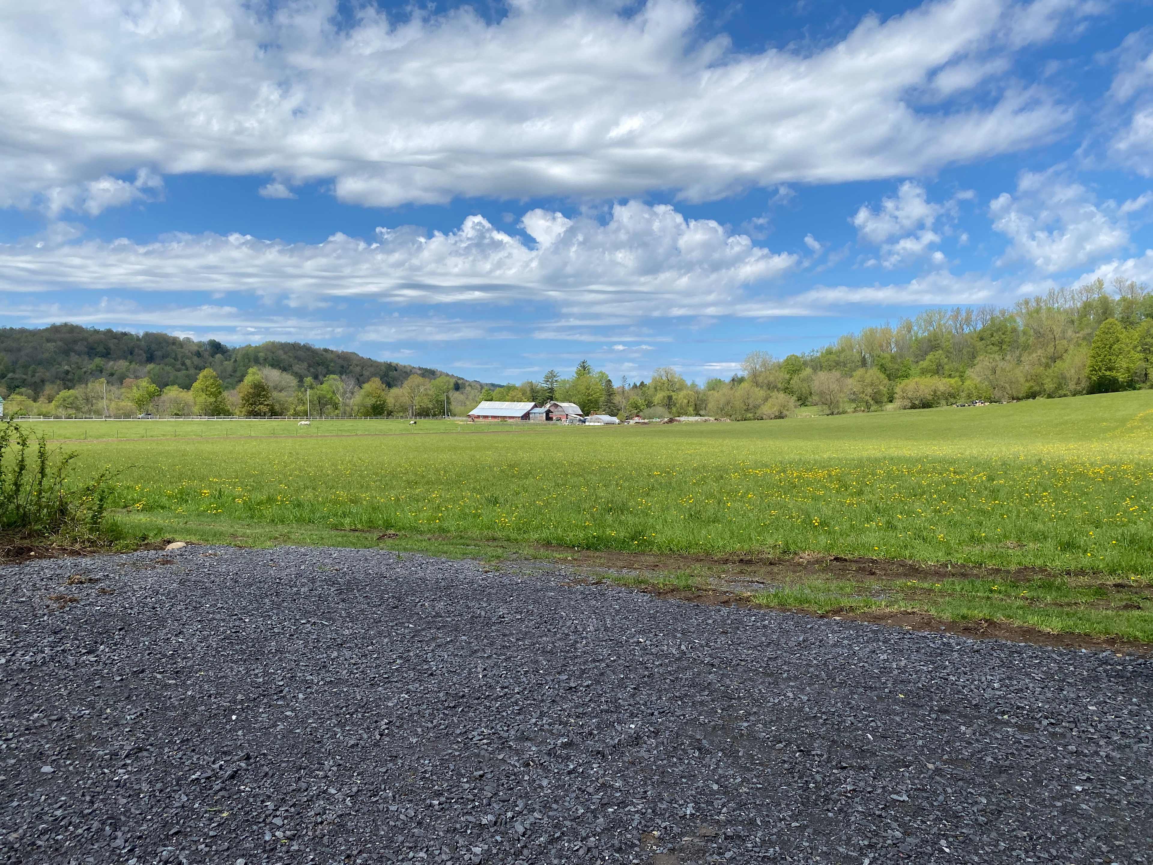 Picture of the site