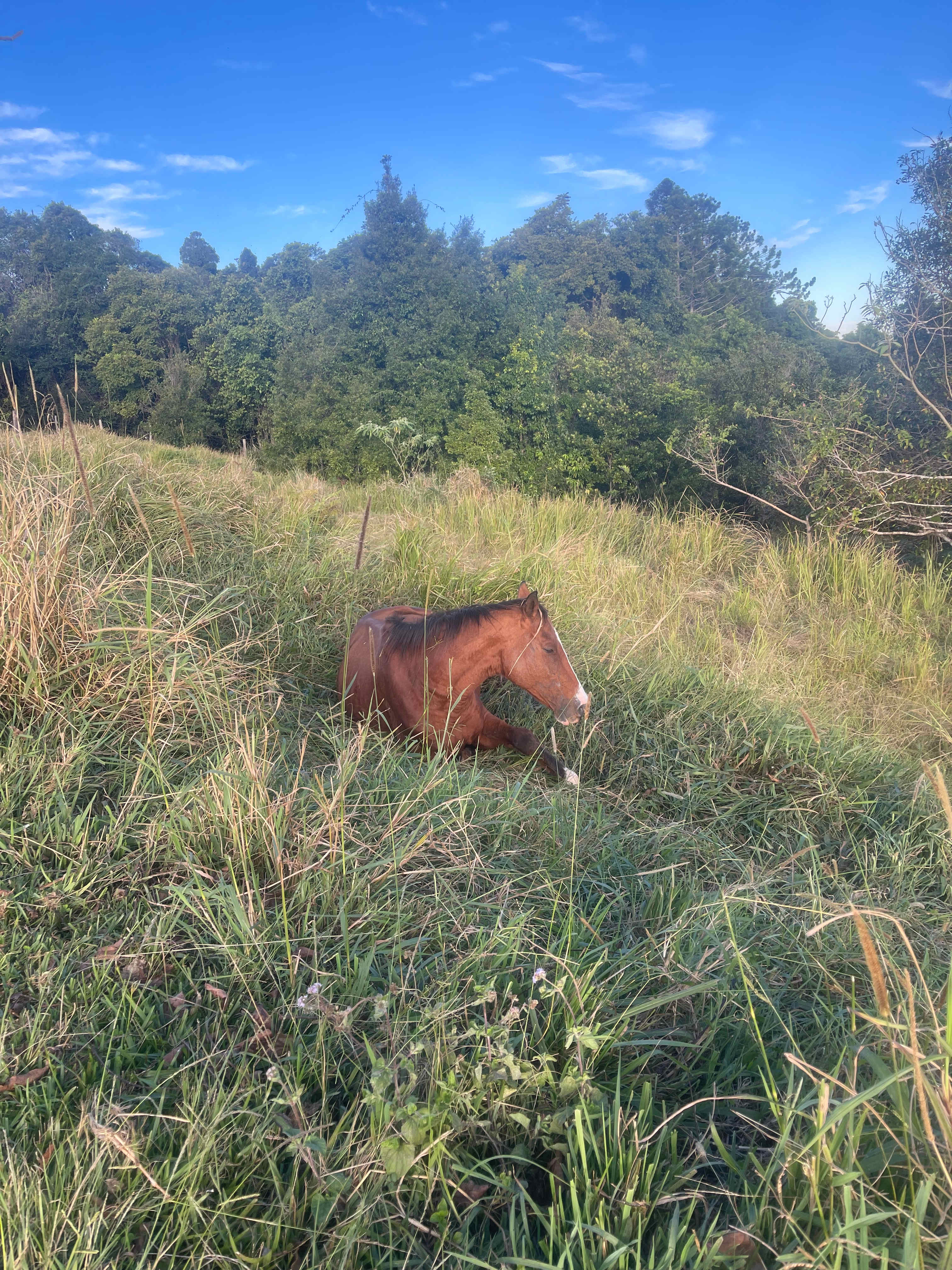 Restful Ridges