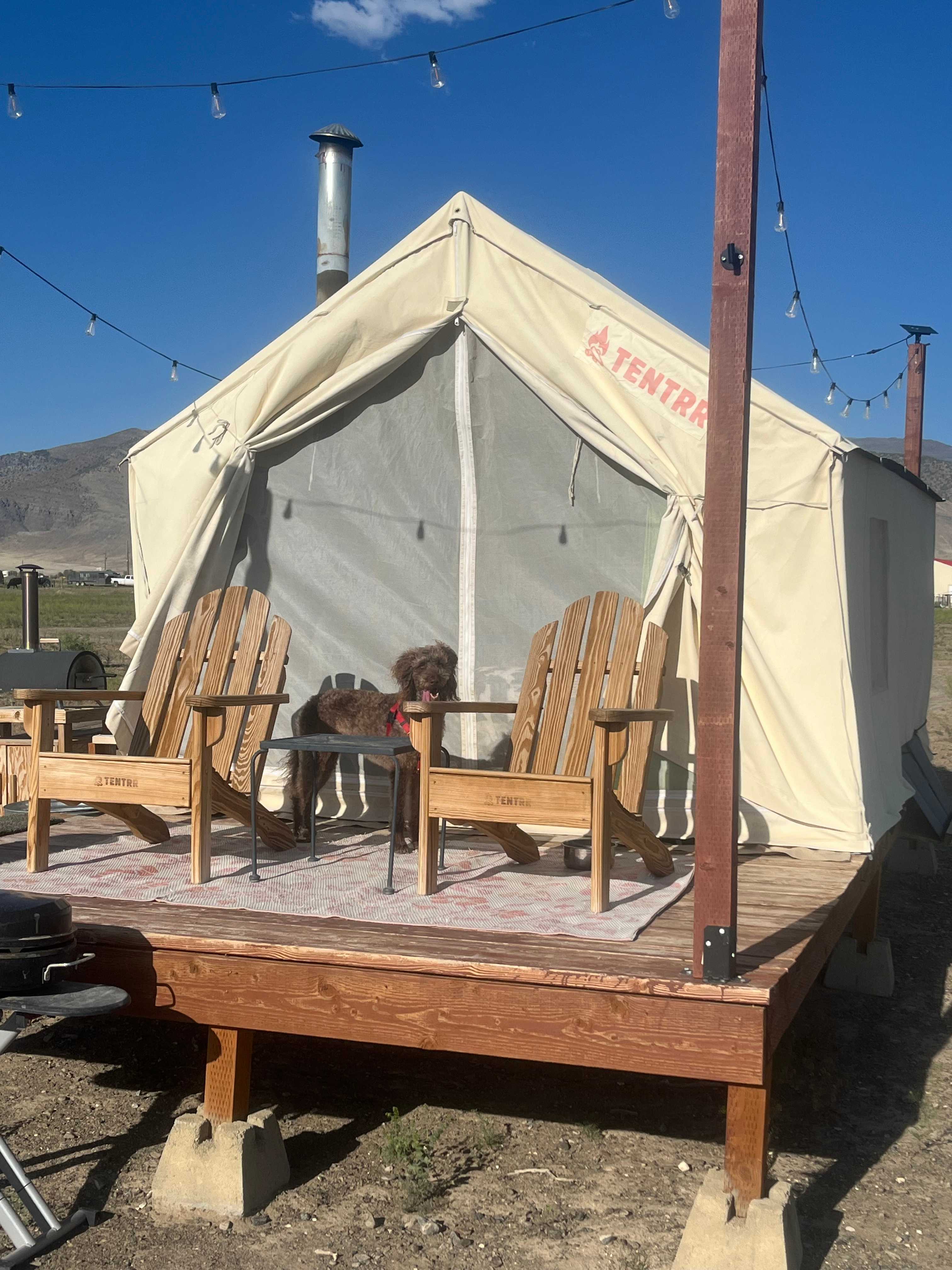 Star Gaze Ranch