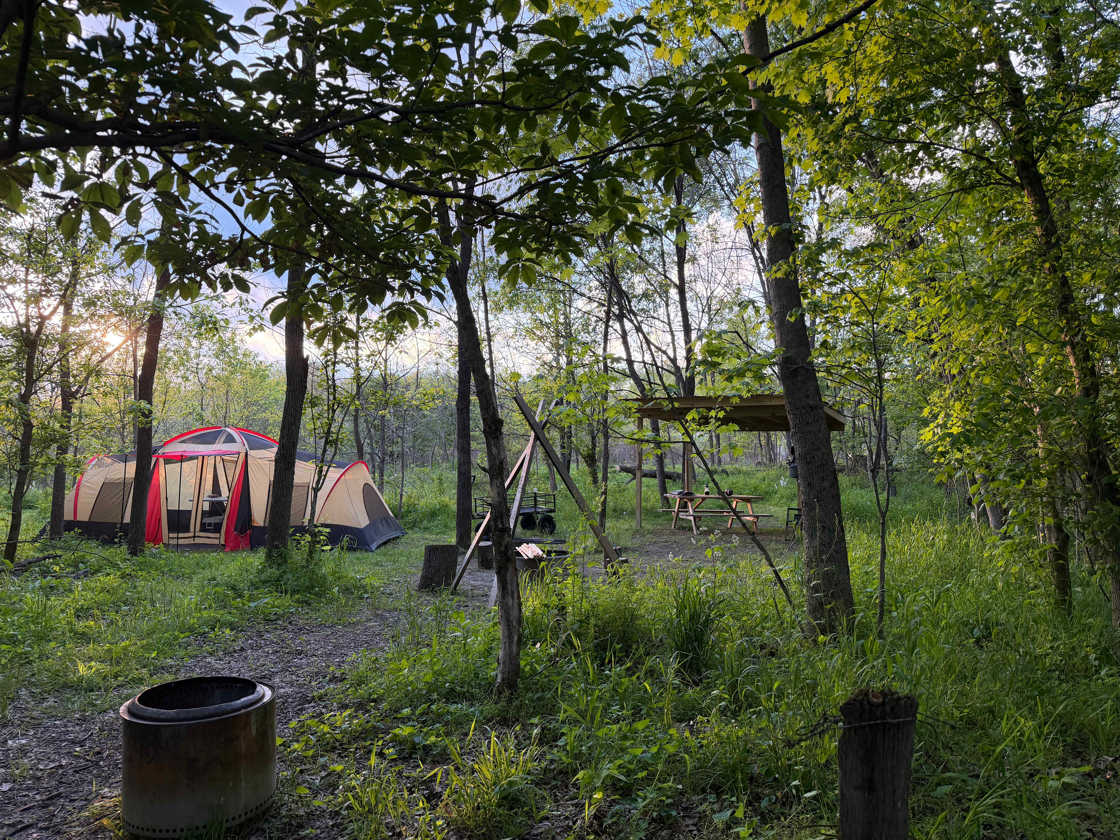 Bluebird Hollow