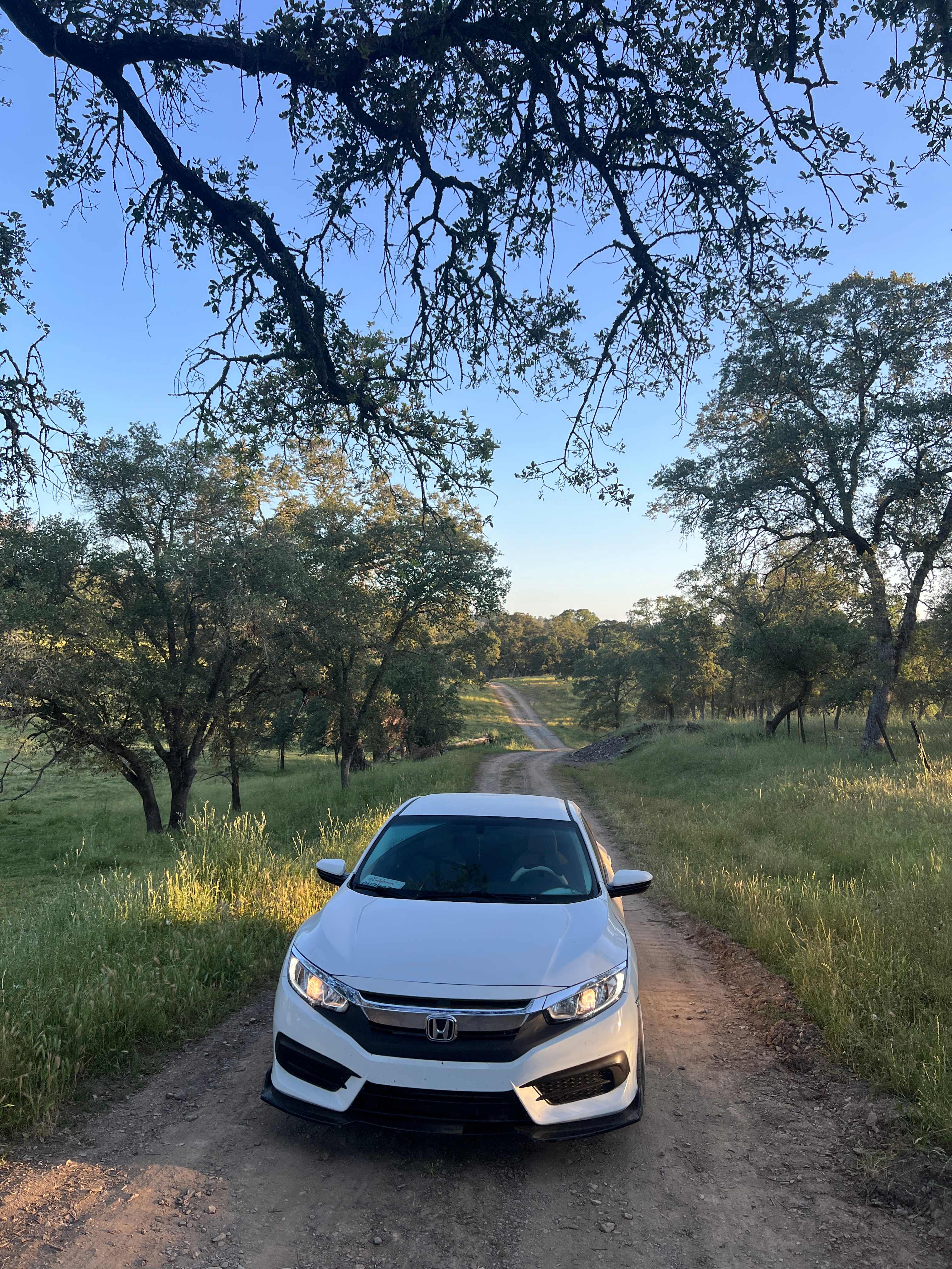 Cosumnes River Ranch