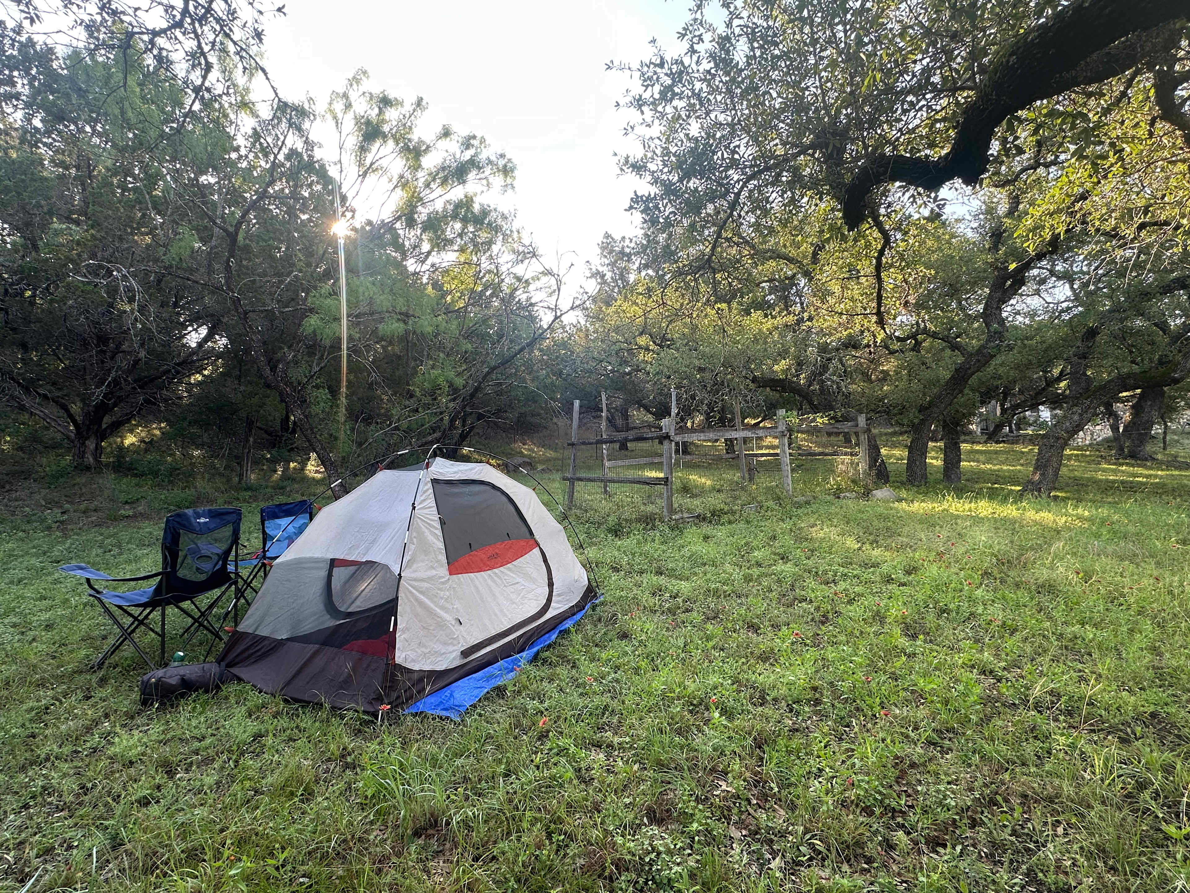 Picture of the site