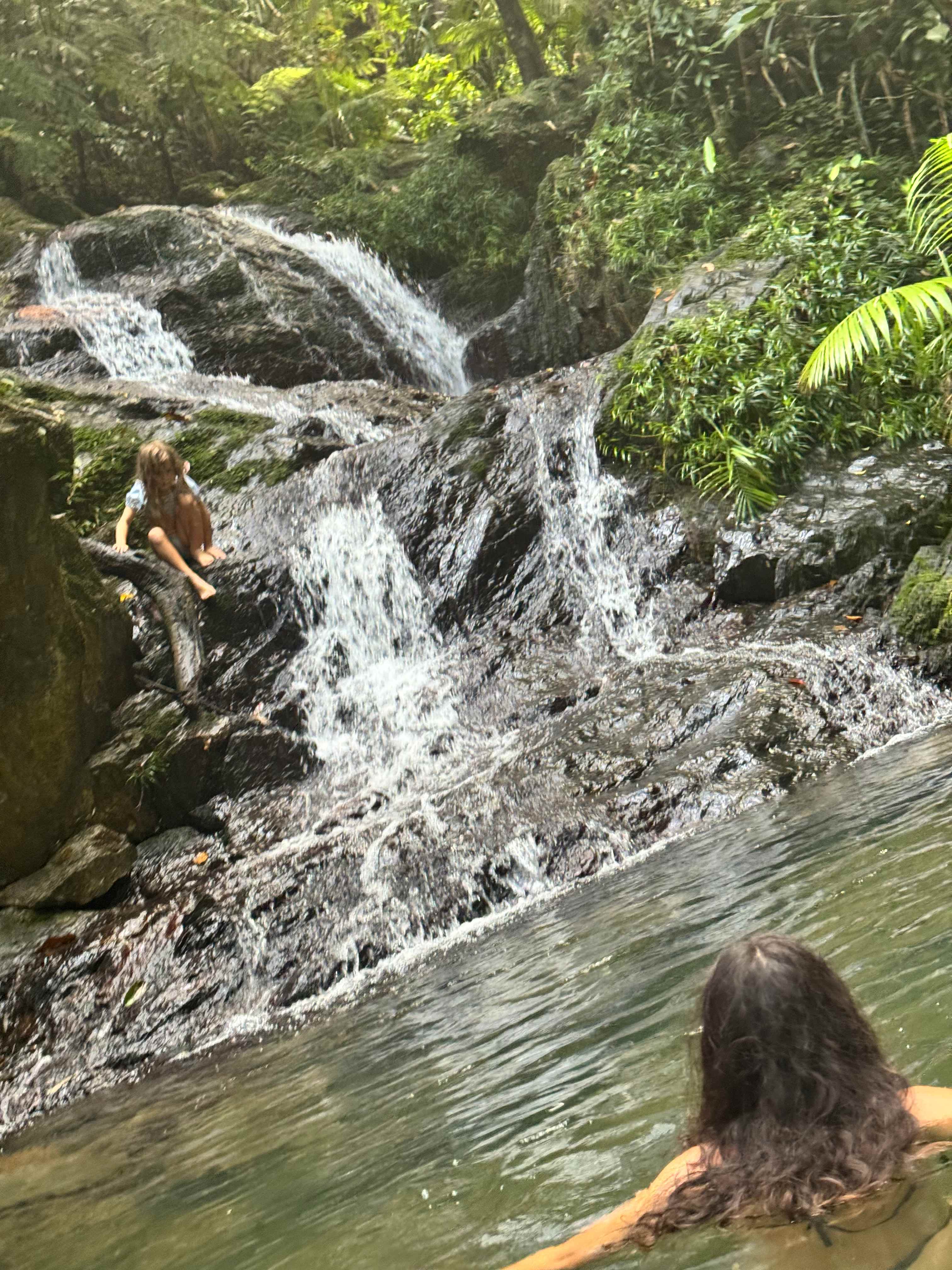 Daintree Exotics Camping