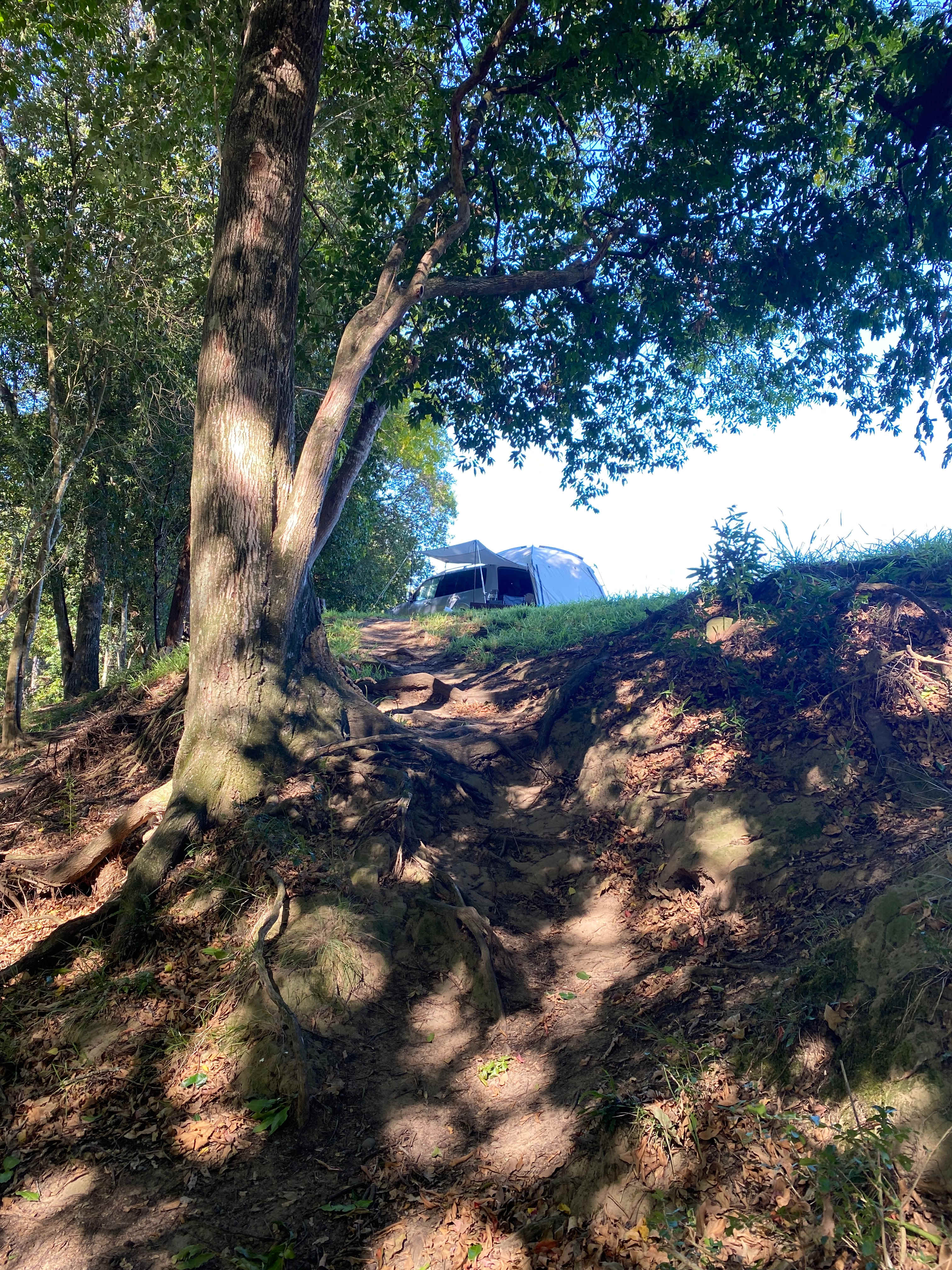Willowbank