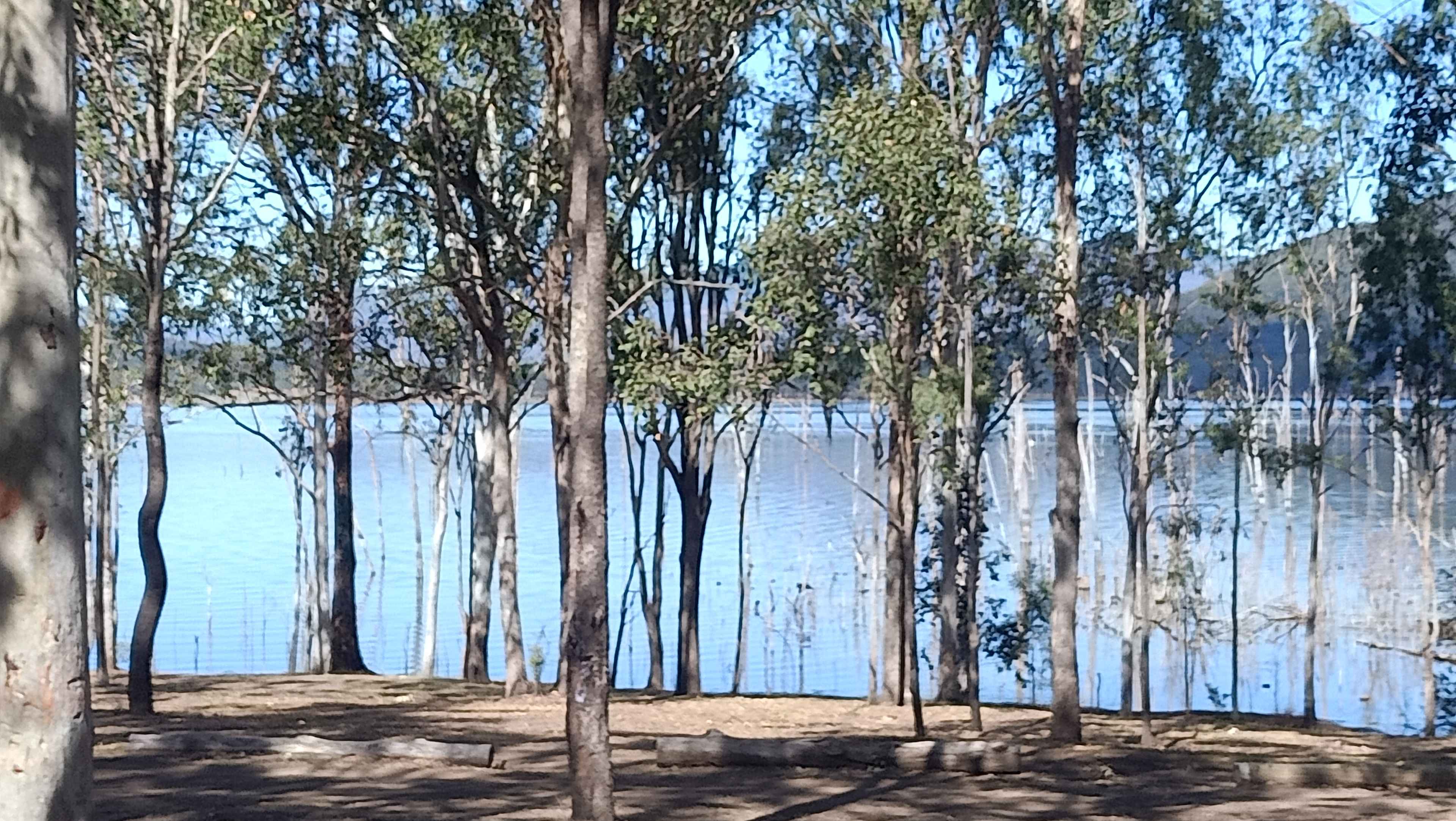 View from Lakeview sites