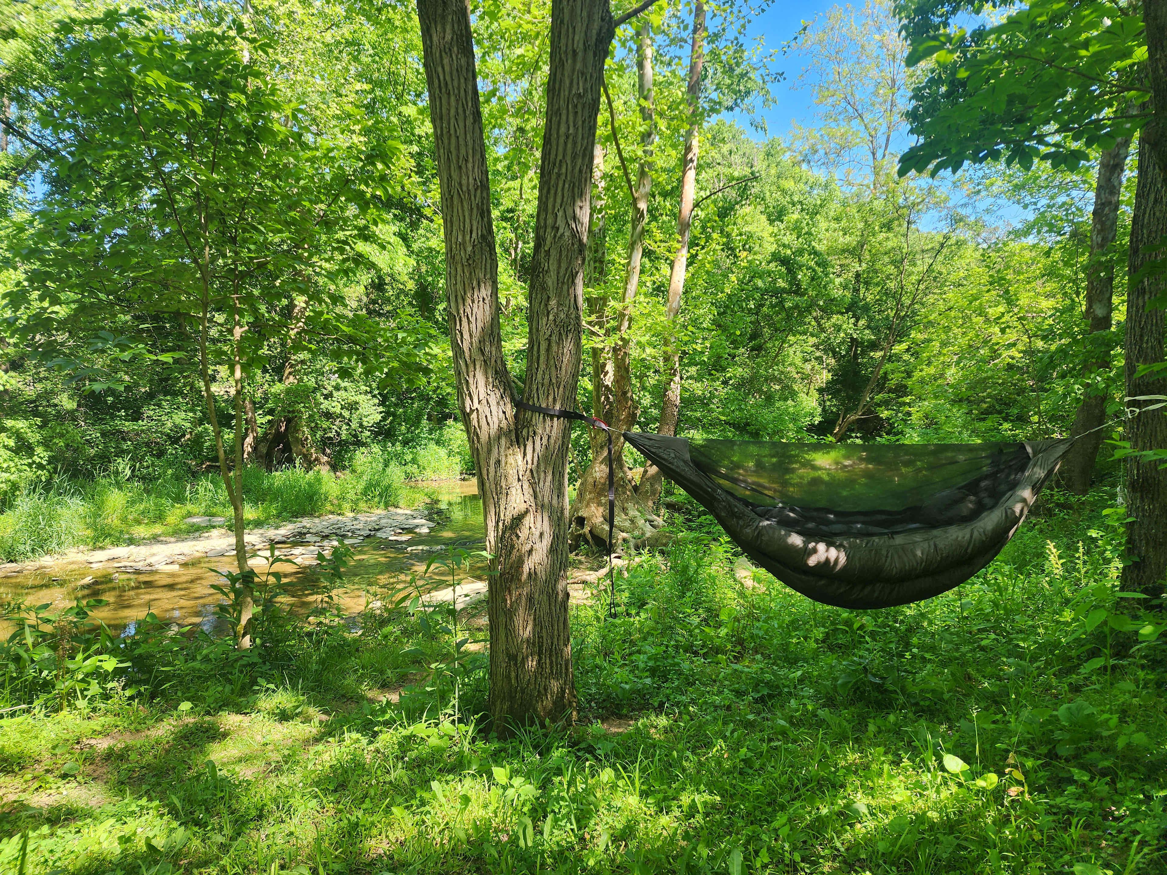Buck Creek Sanctuary