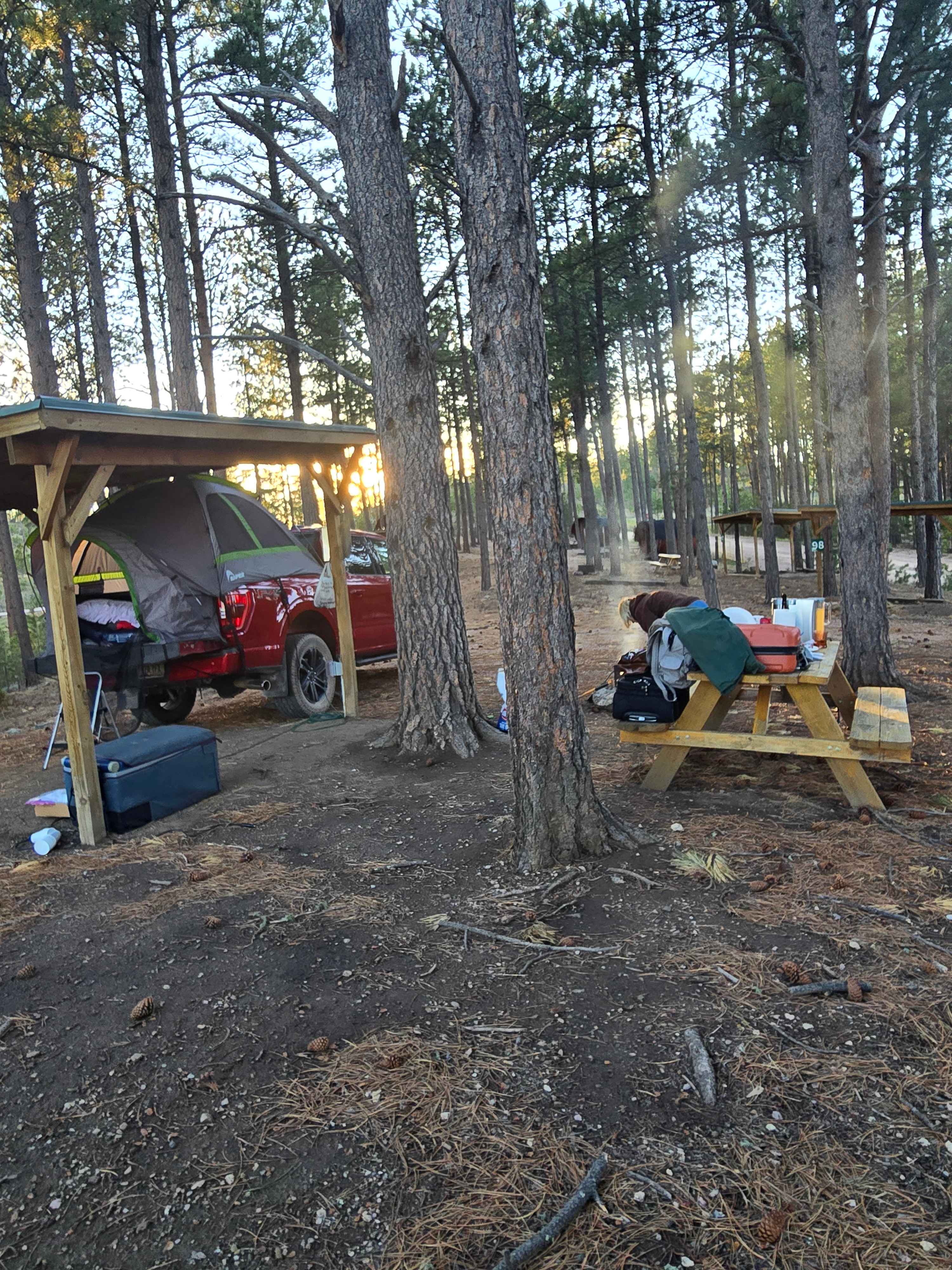 Picture of the site