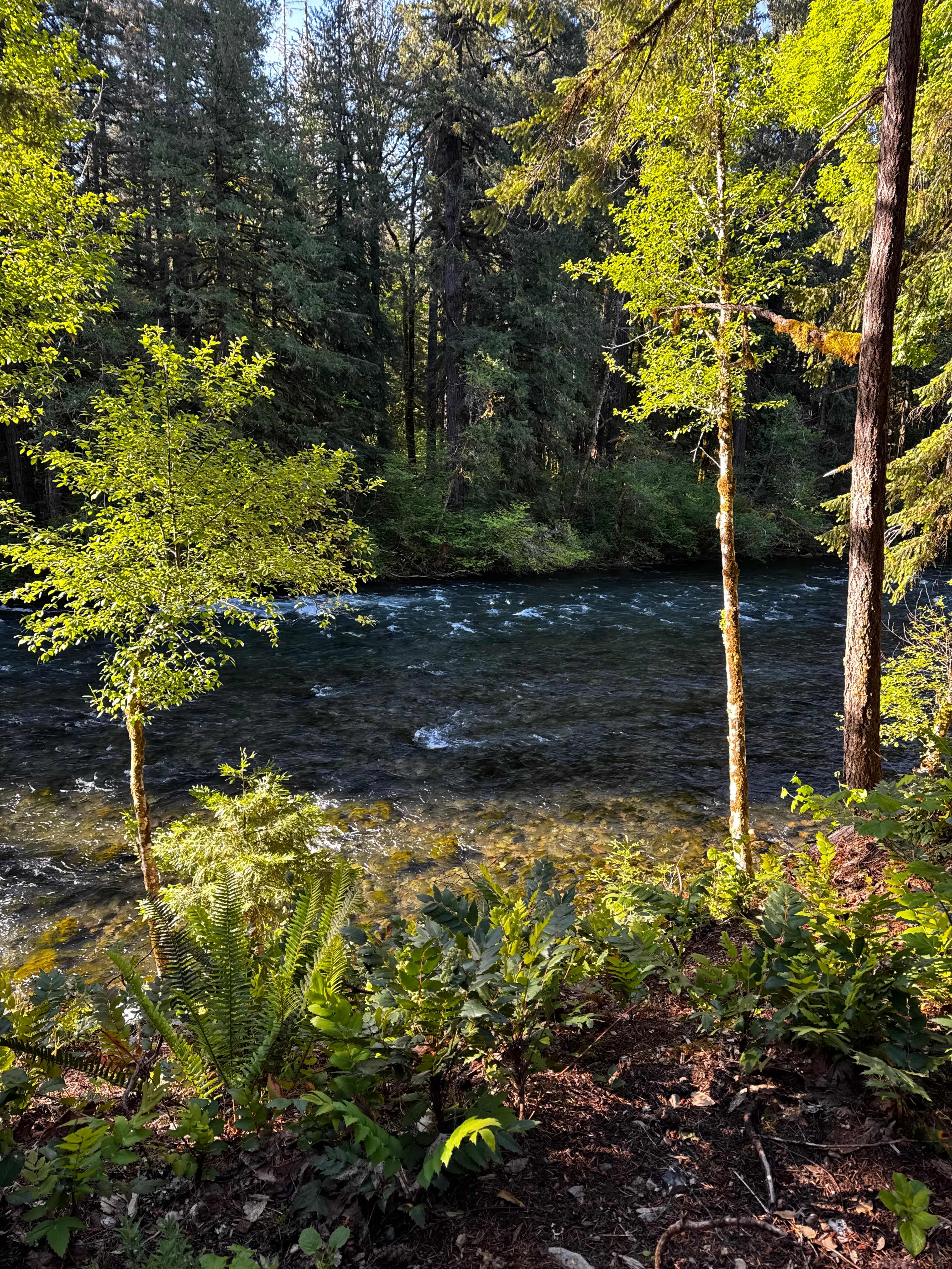 Amazing river views from our tent
