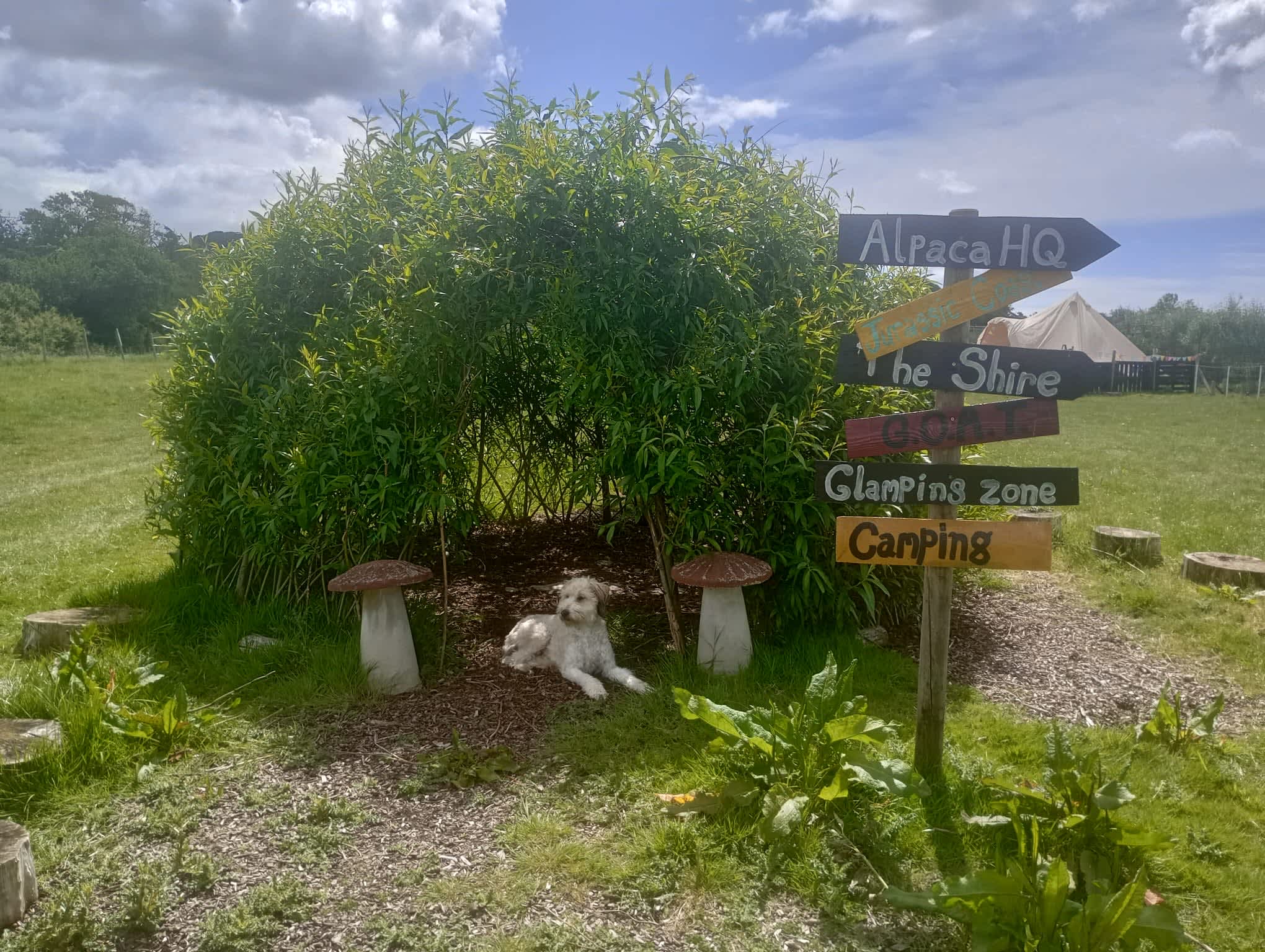Picture of the site