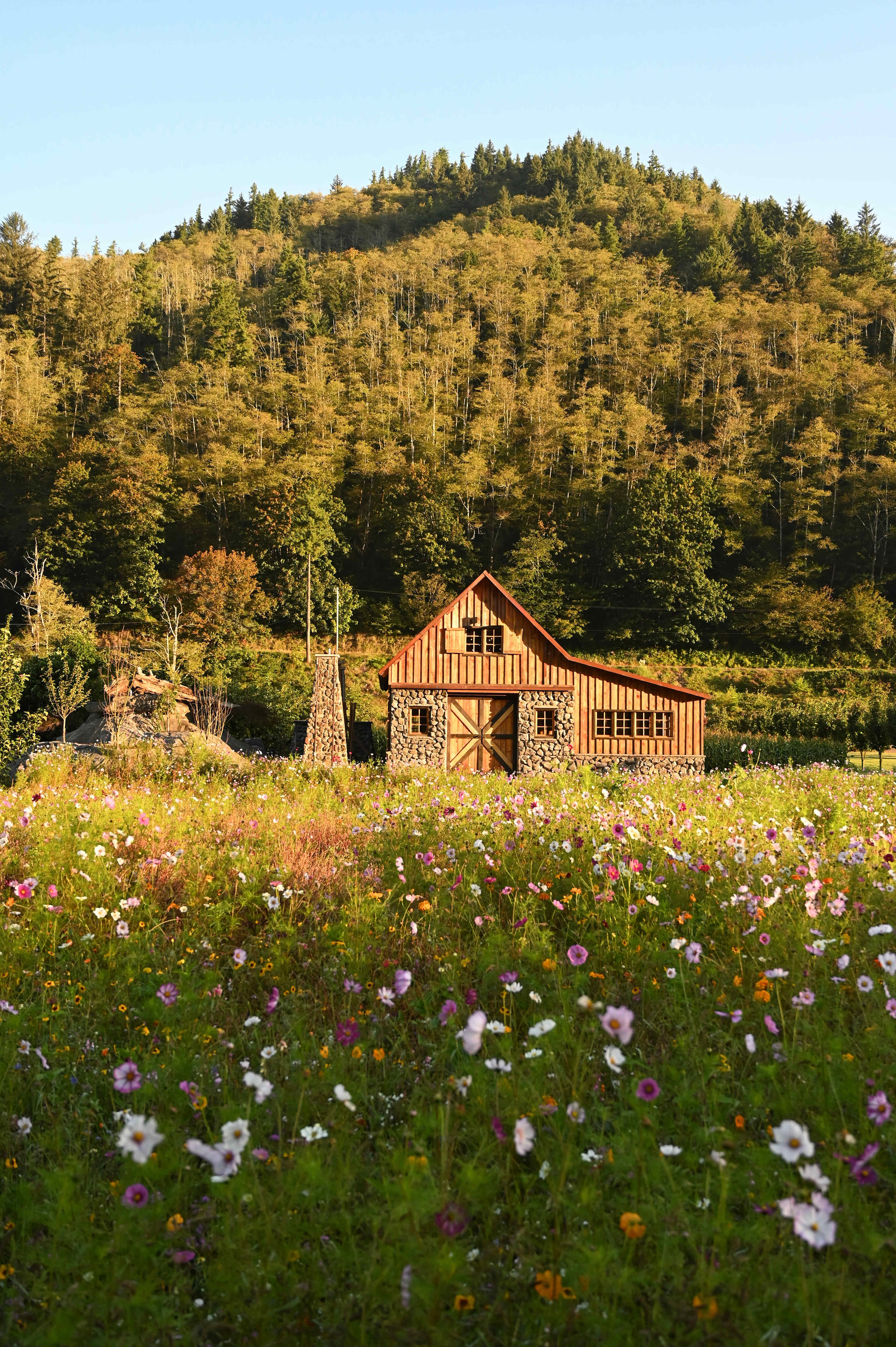 The Hydrangea Ranch