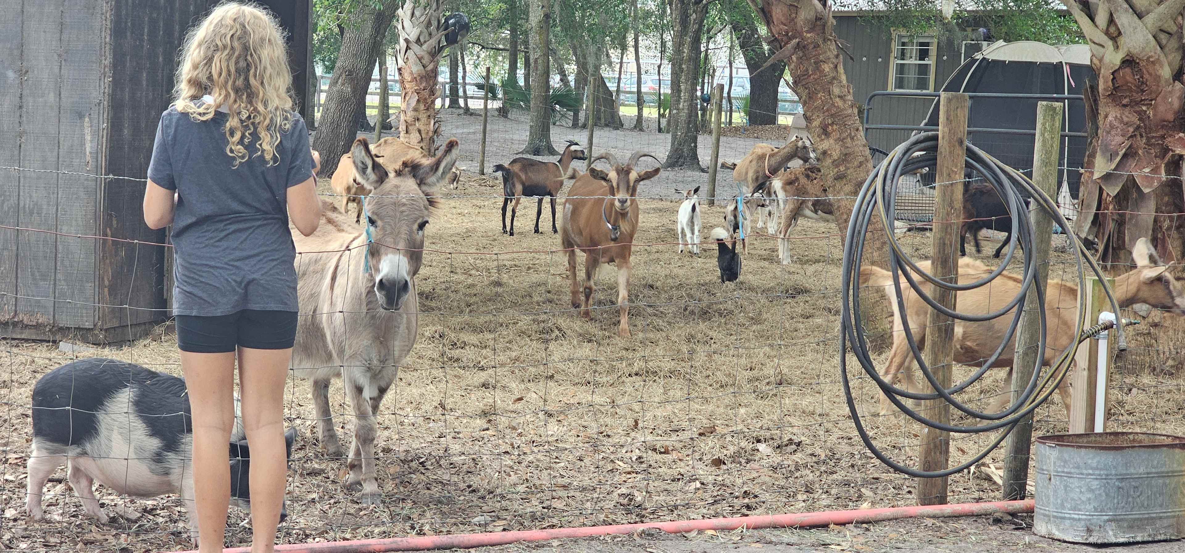 True Trail Farm