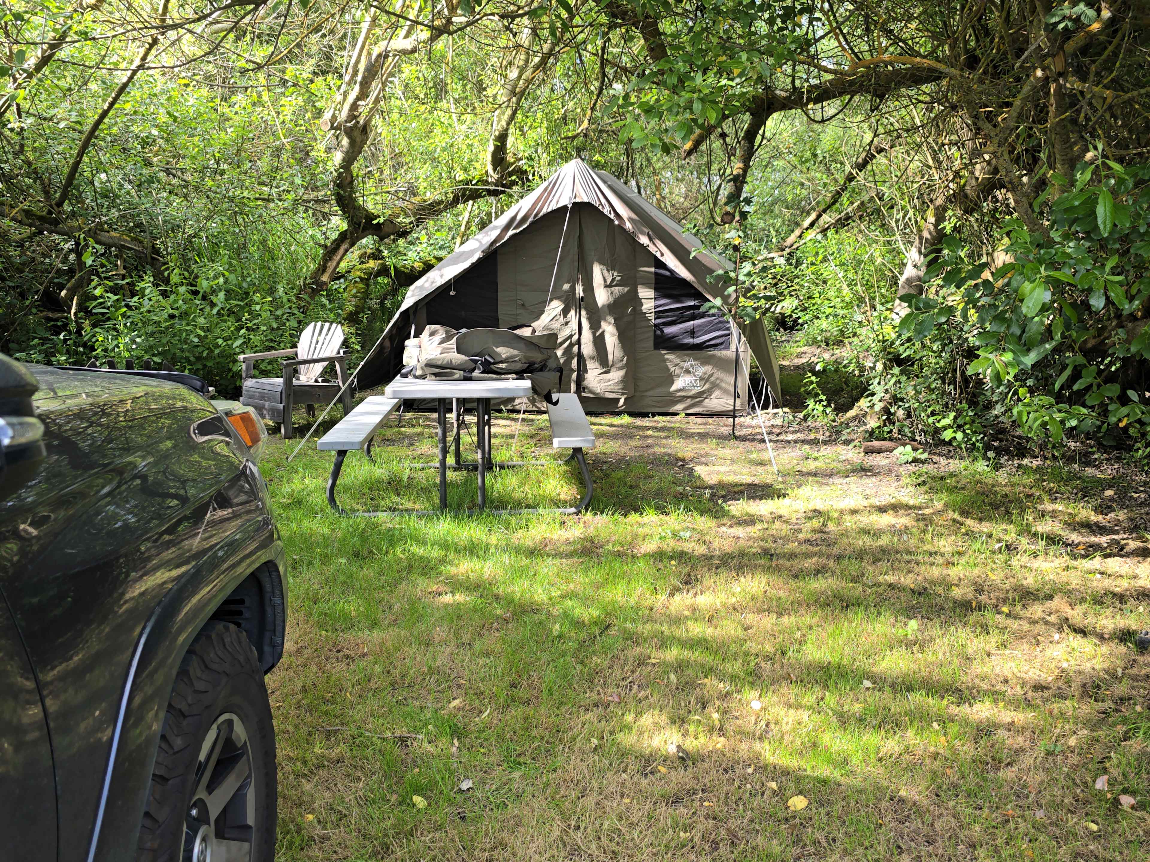 Picture of the site