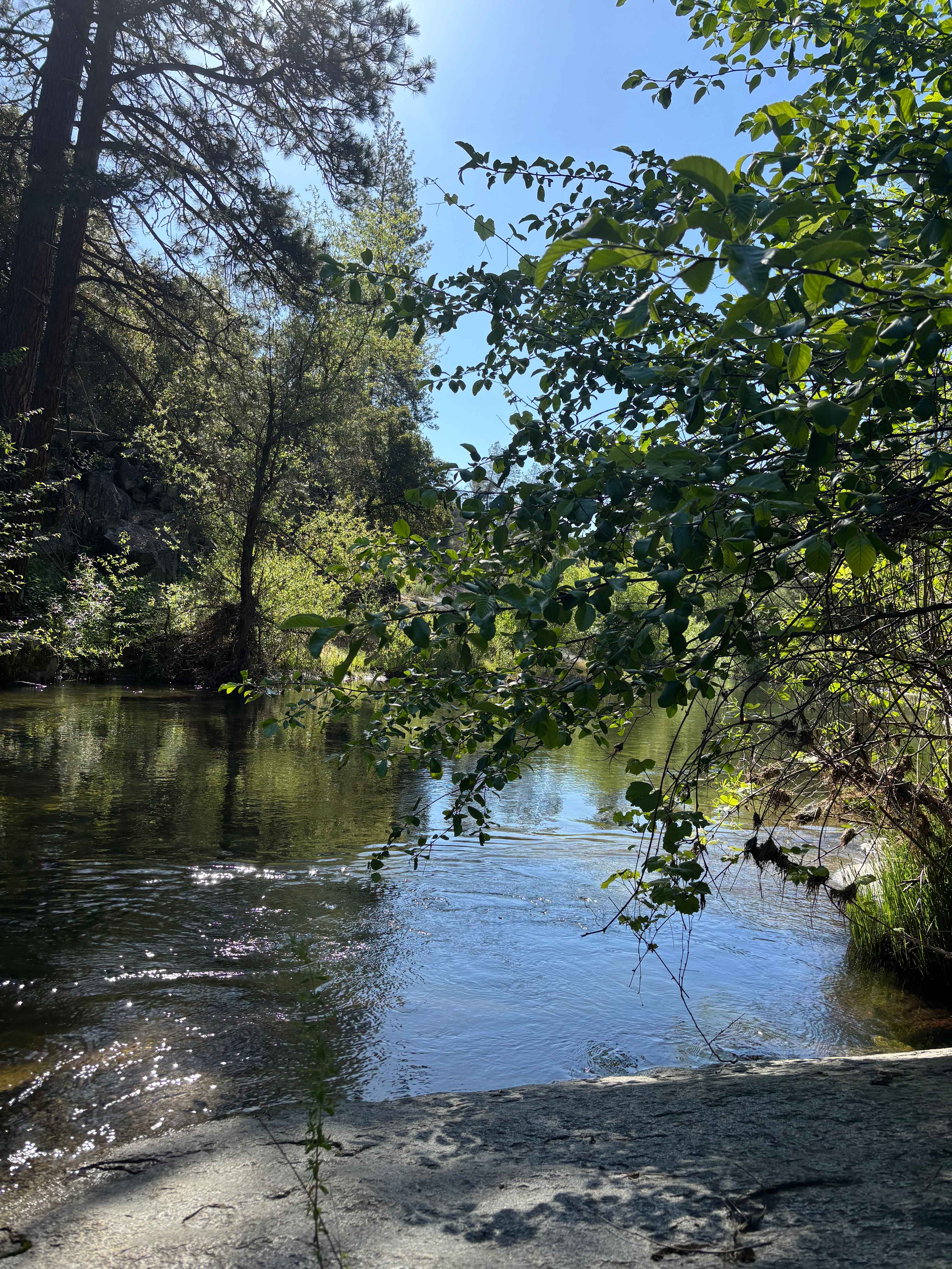 Cosumnes River Somerset Camp