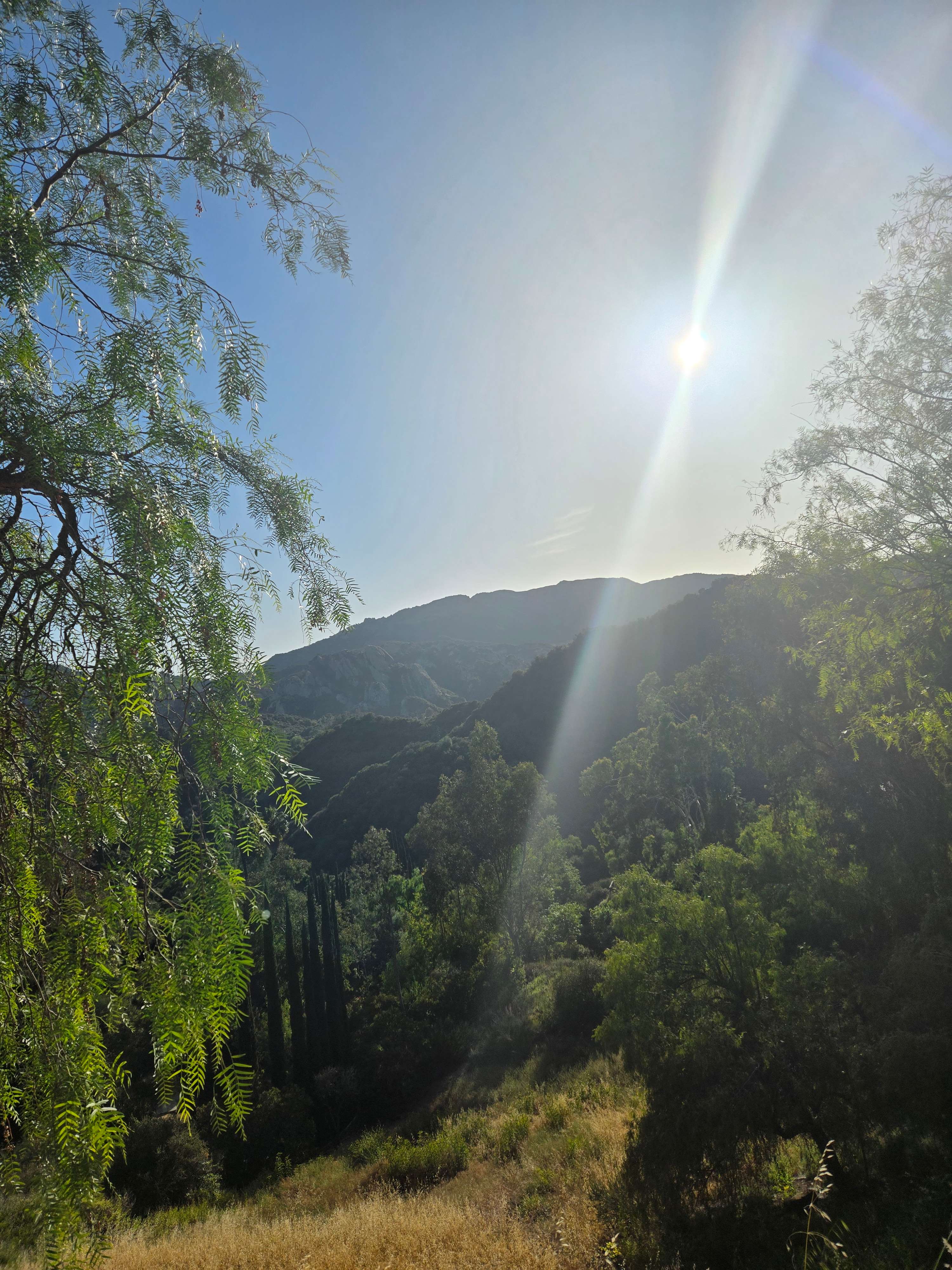 Topanga Cabins