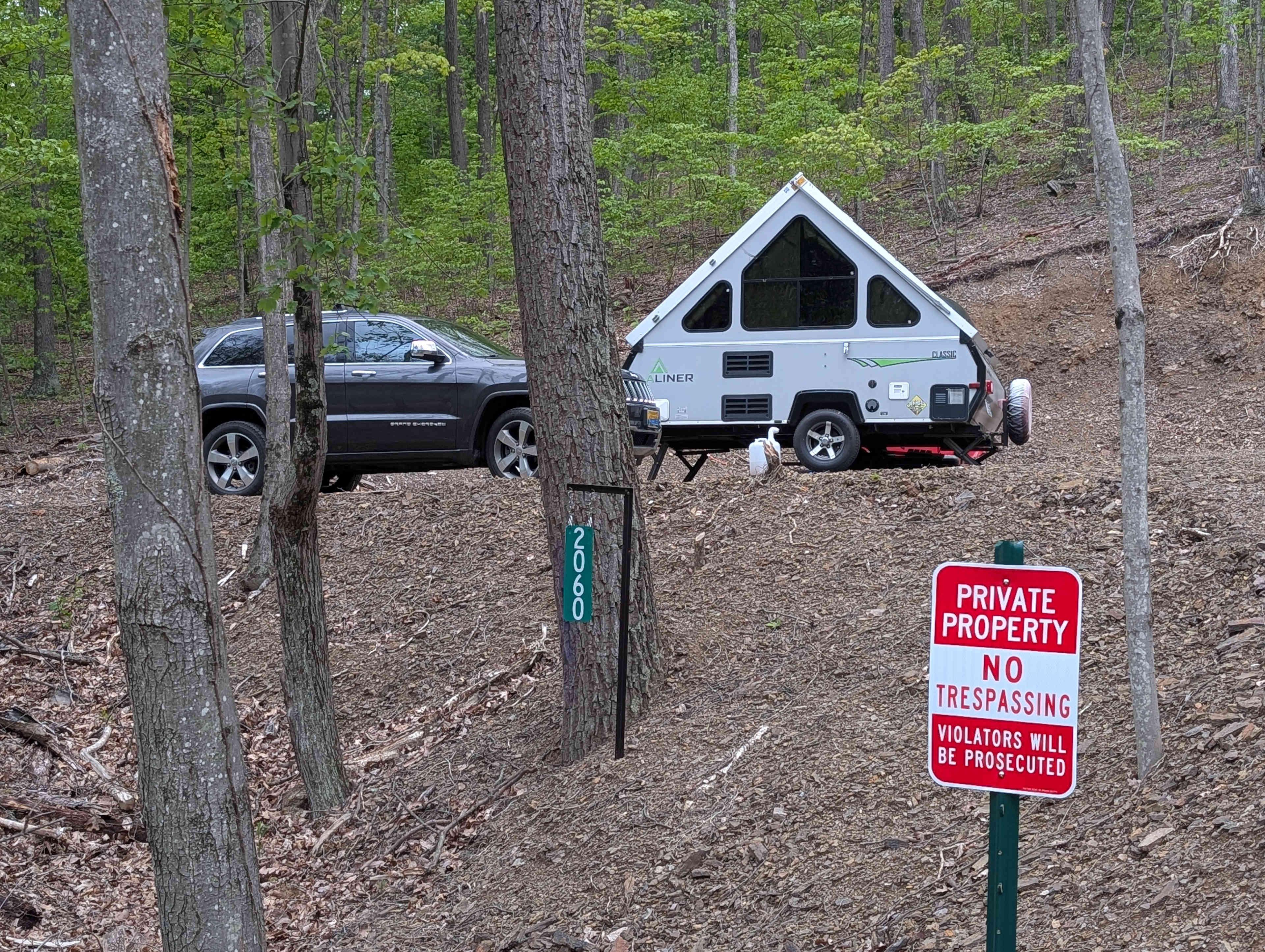 Picture of the site