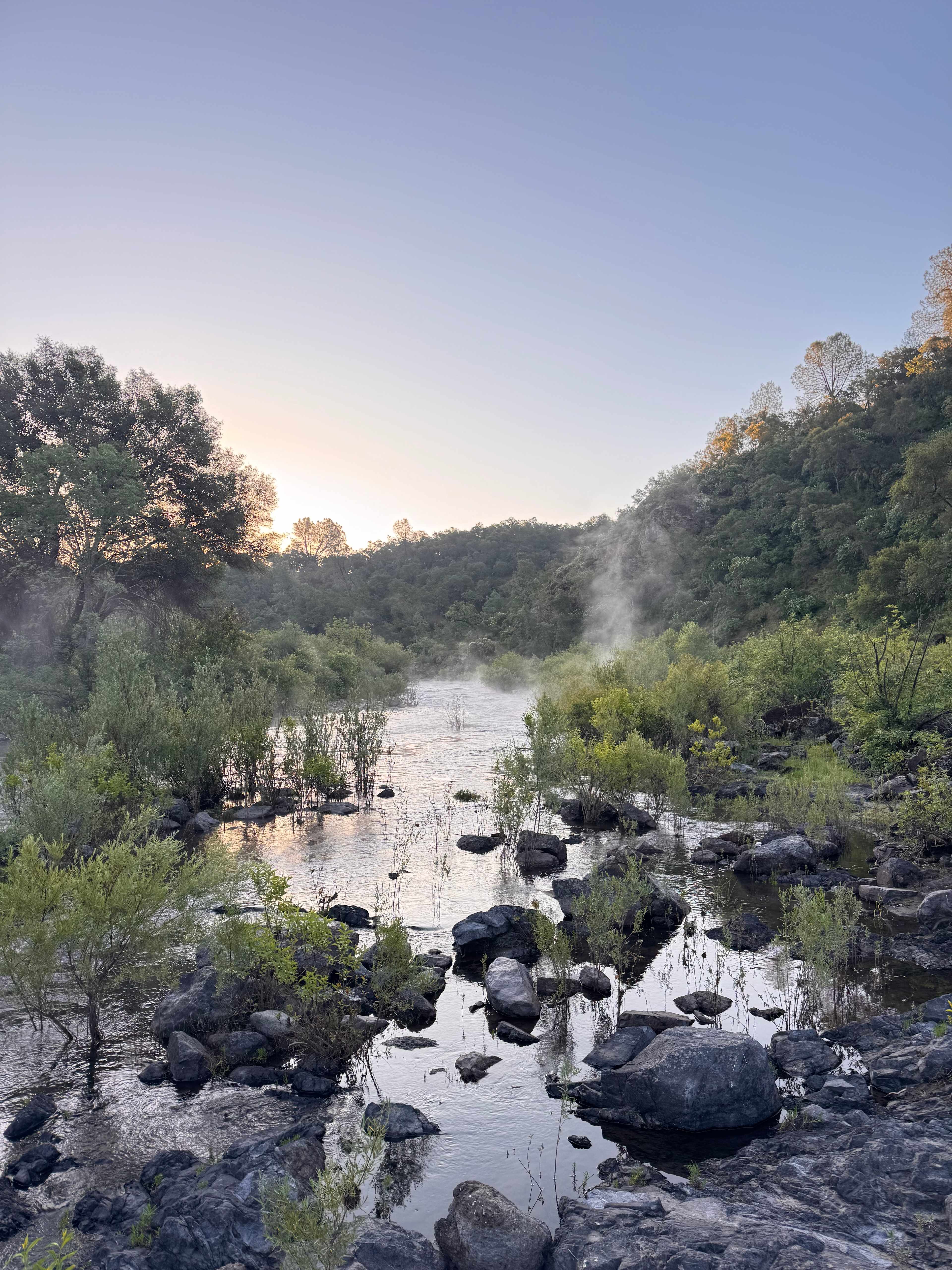 Site 1 Morning Mist