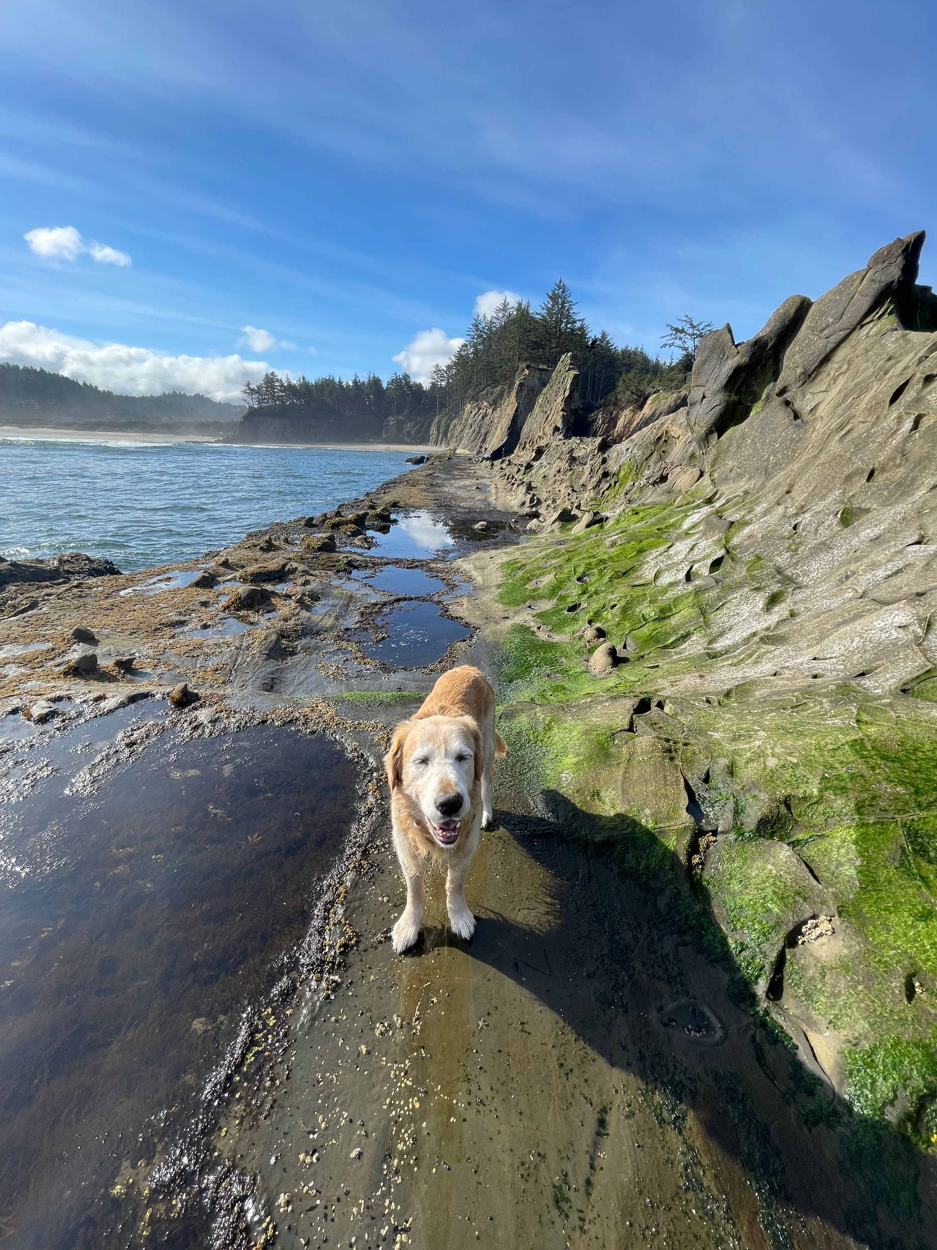 Sun Outdoors Coos Bay