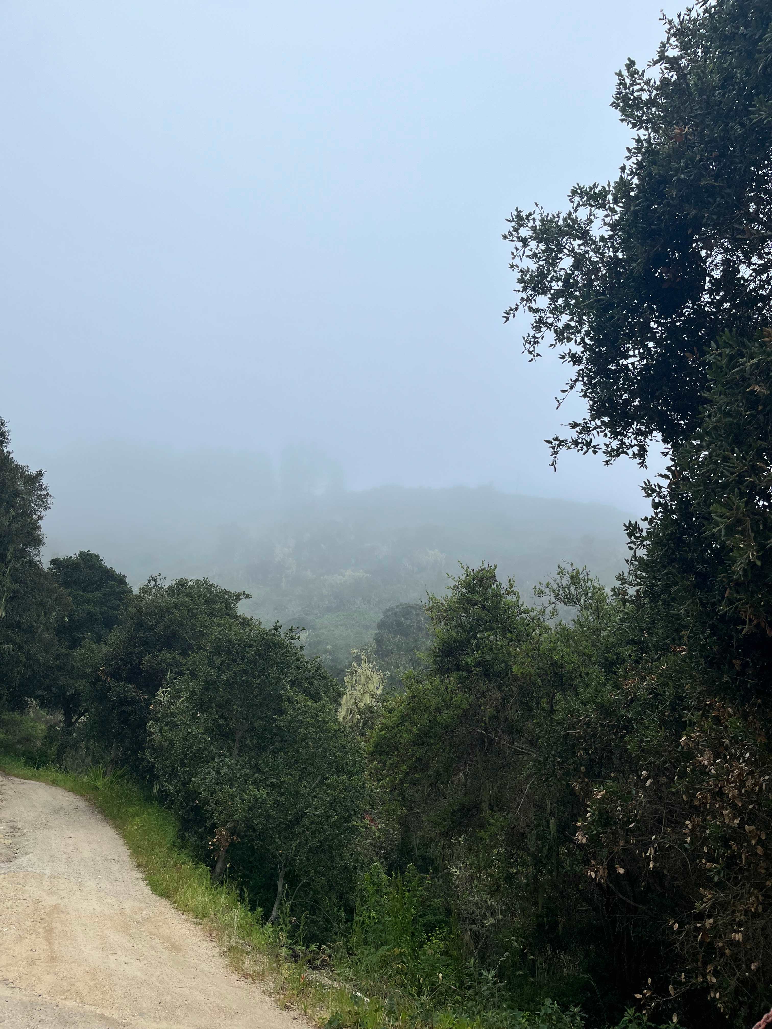 Saddle Mountain Carmel