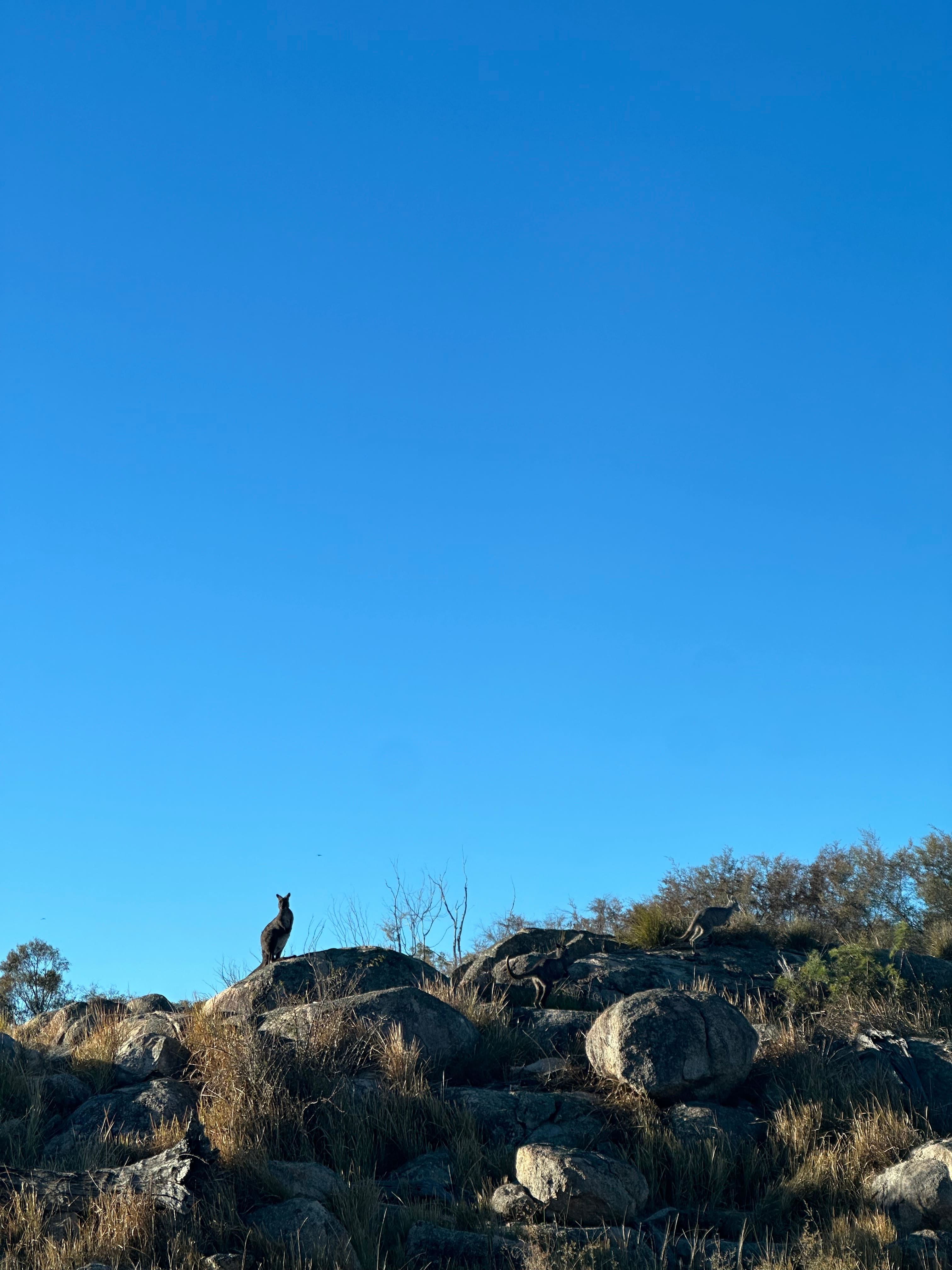 Kookaburra Camping & Caravan Park