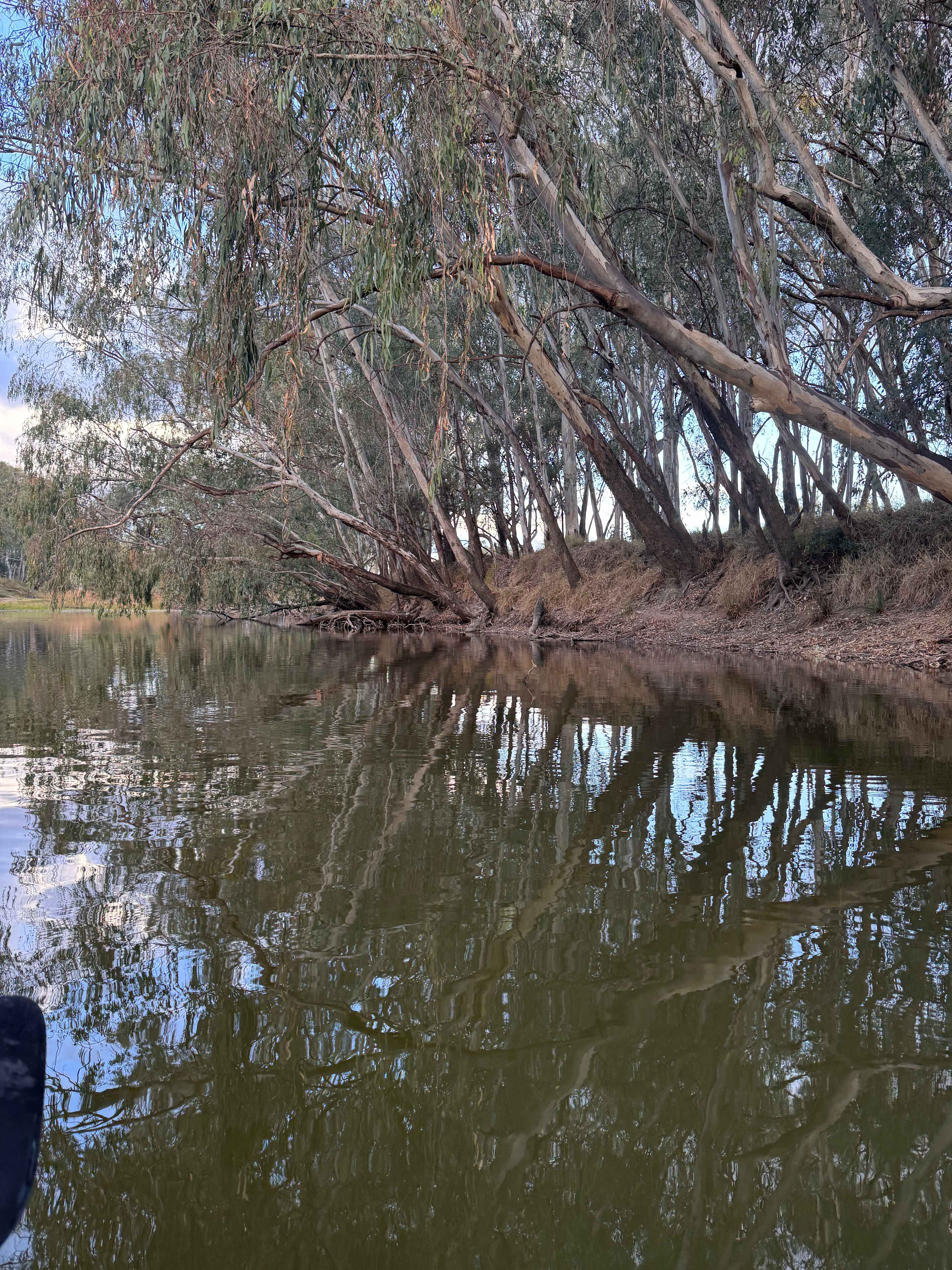 Bushland Hideaway on the River