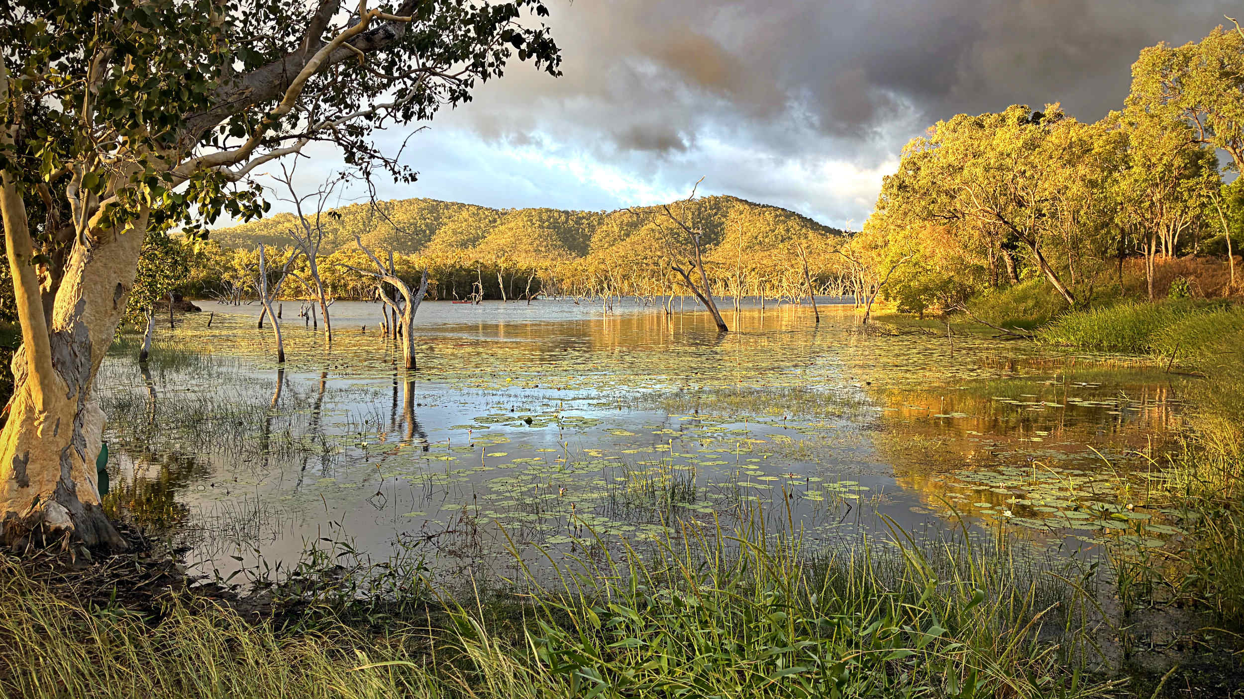 Lakeland Downs Camping