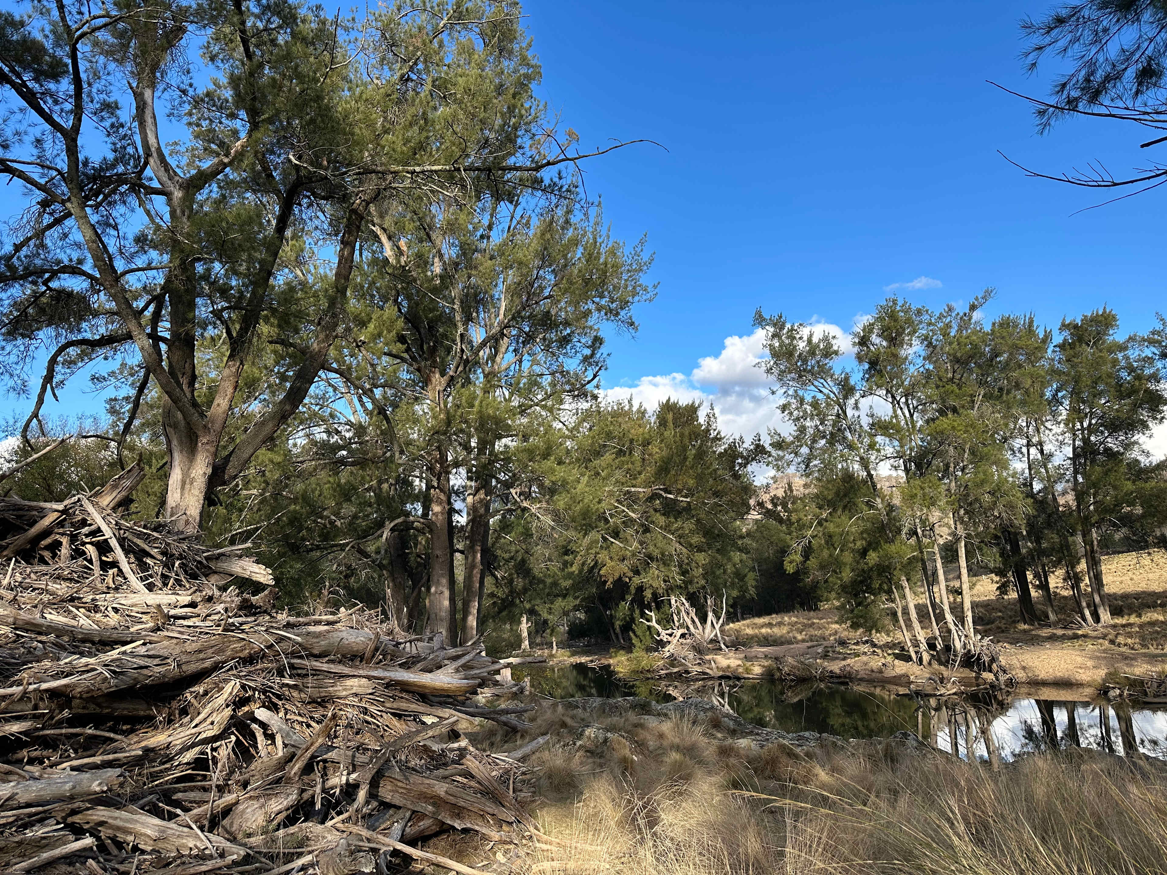 On the Stone River Retreat