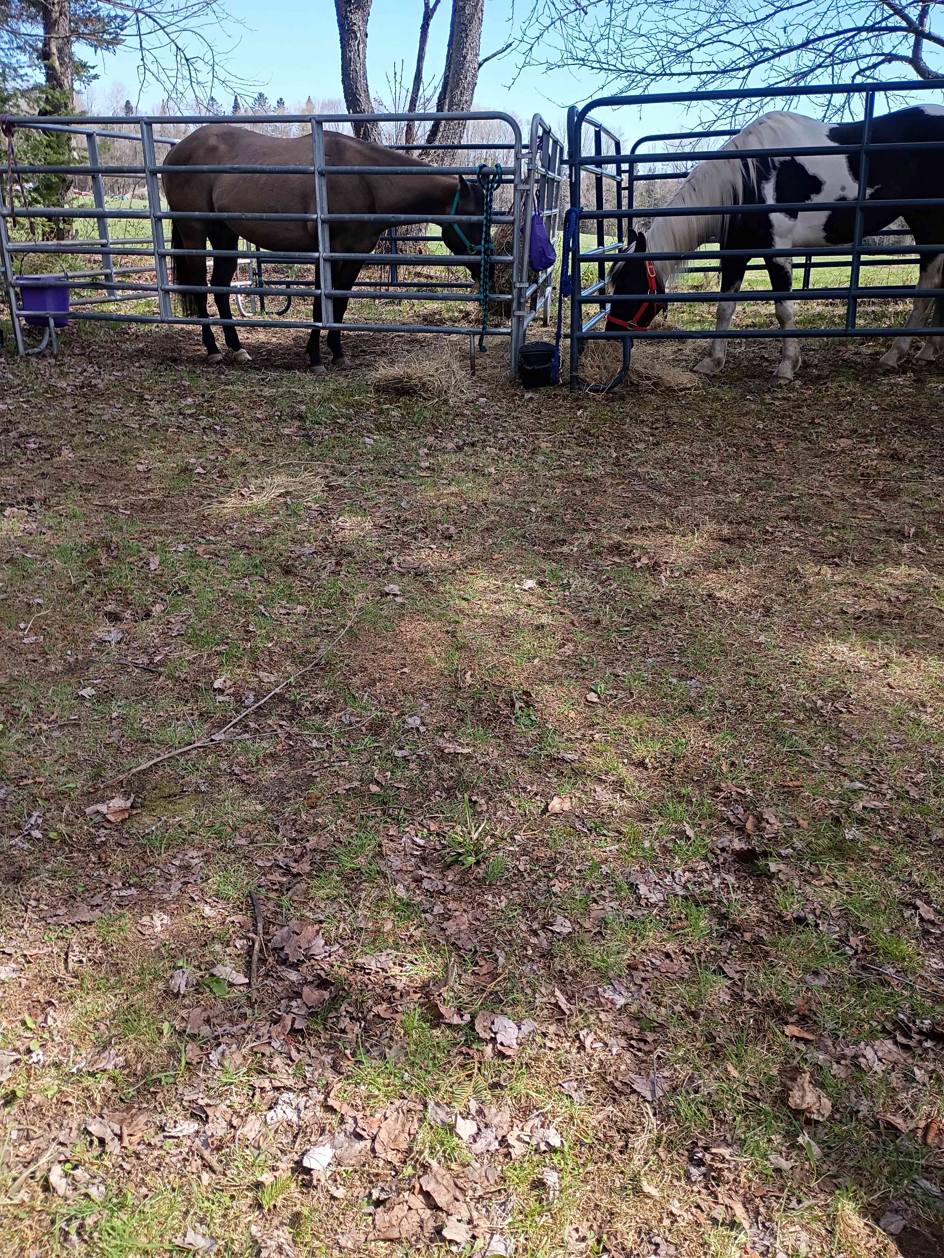 Burke Line Farm