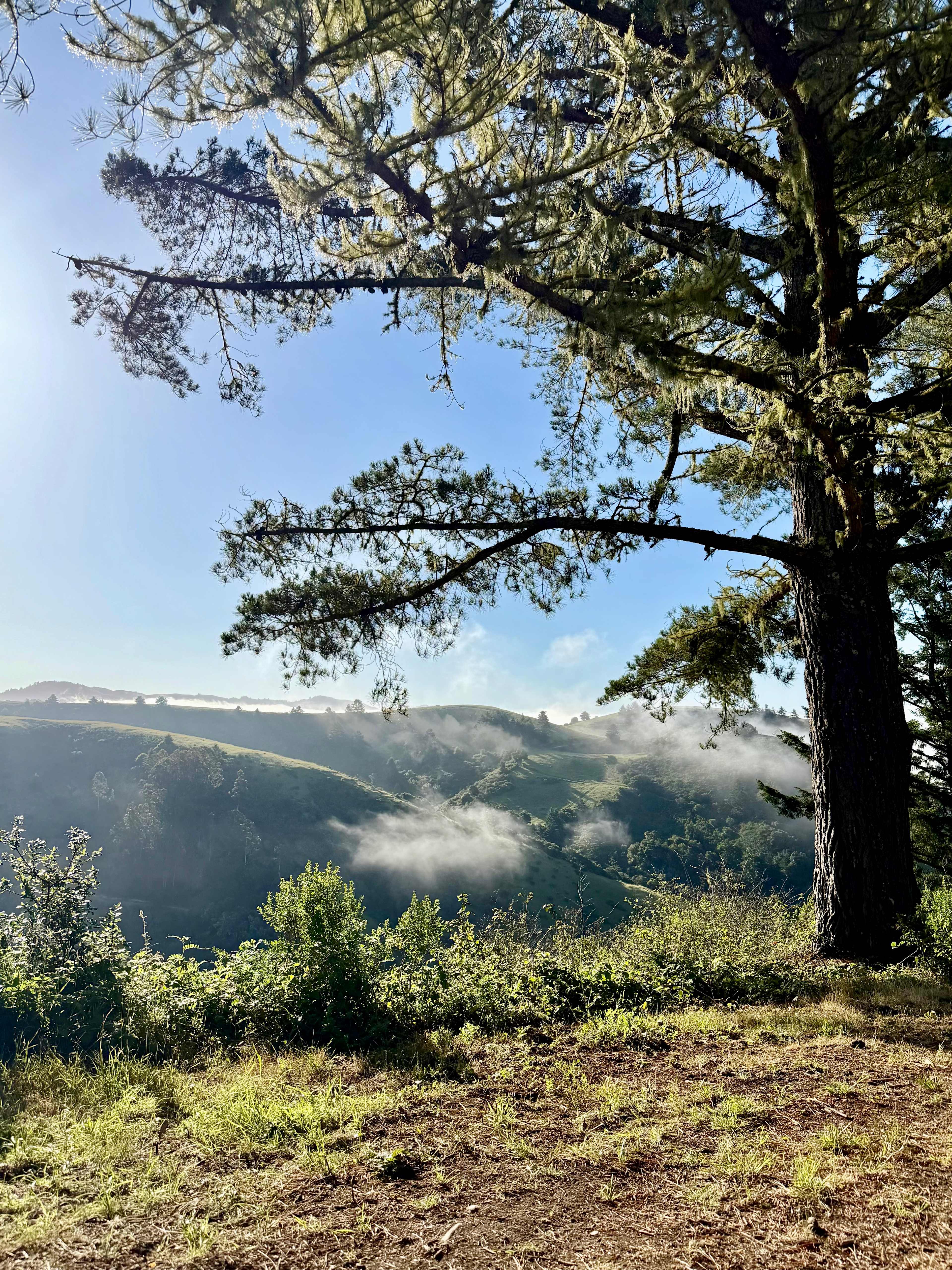 Bear Gulch Hide Out