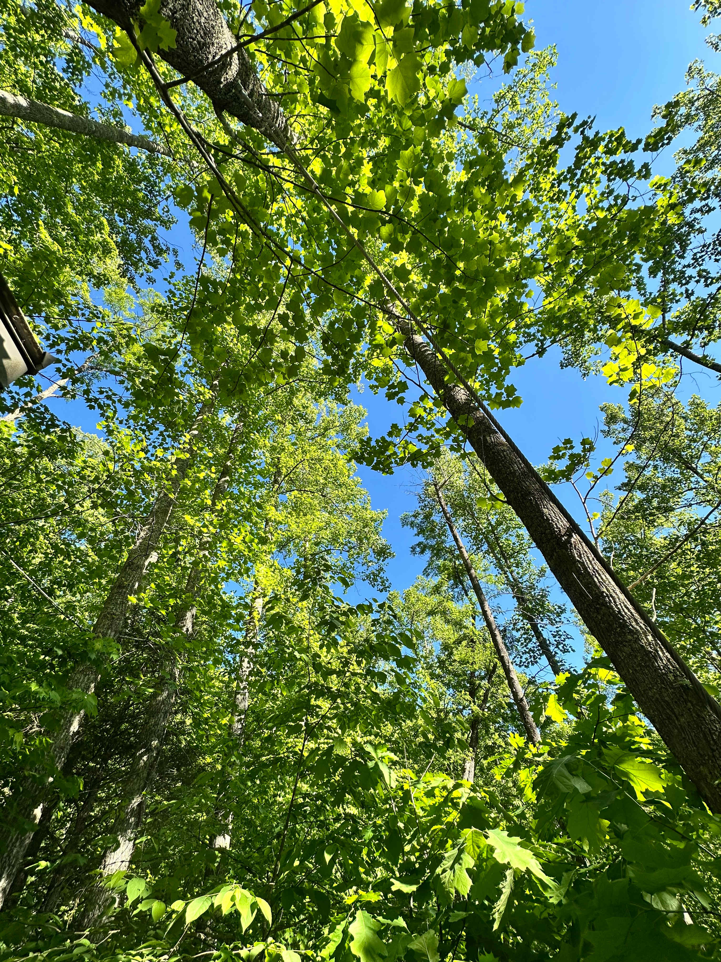 Cold Spring Basecamp