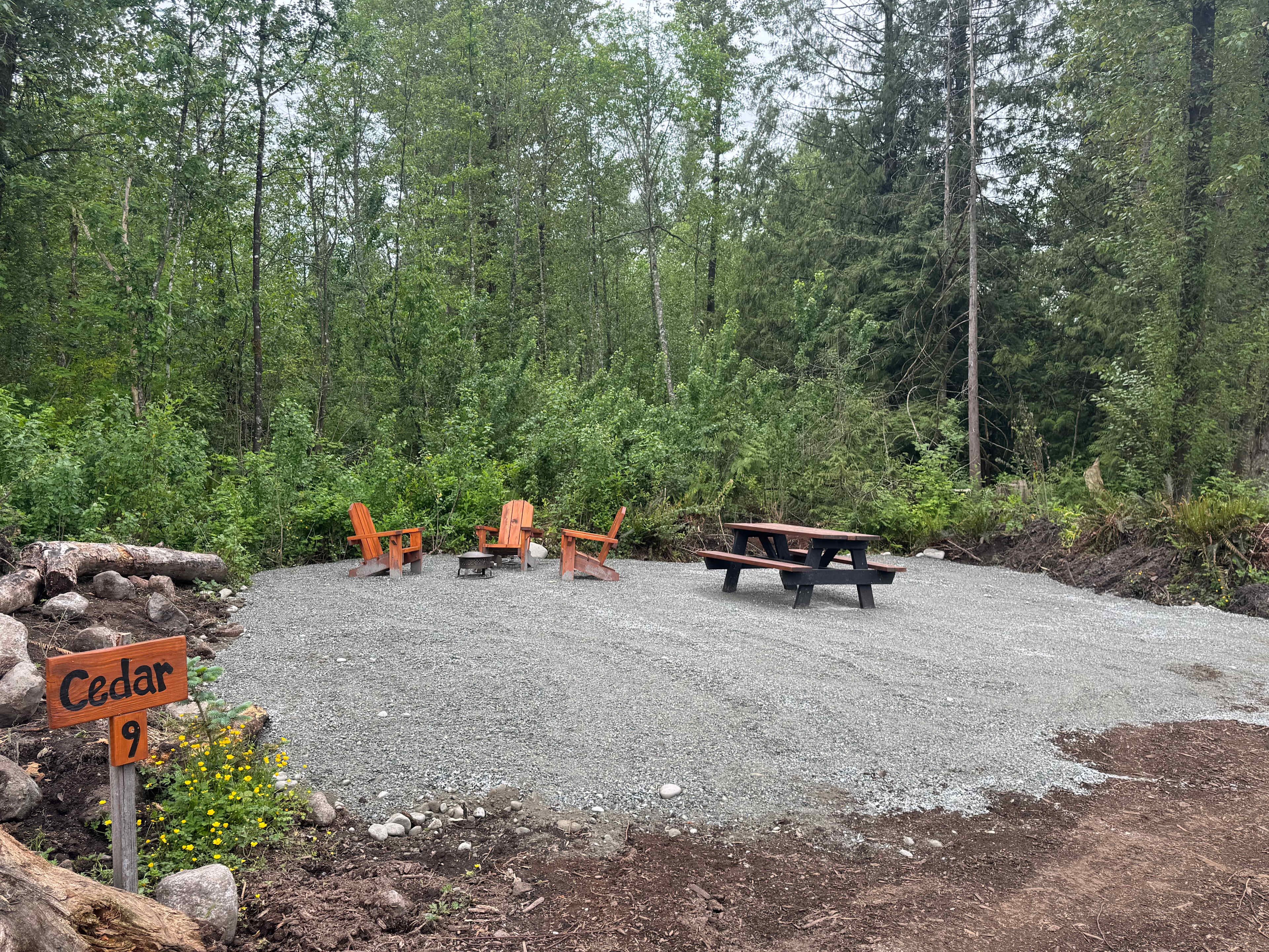 Picture of the site