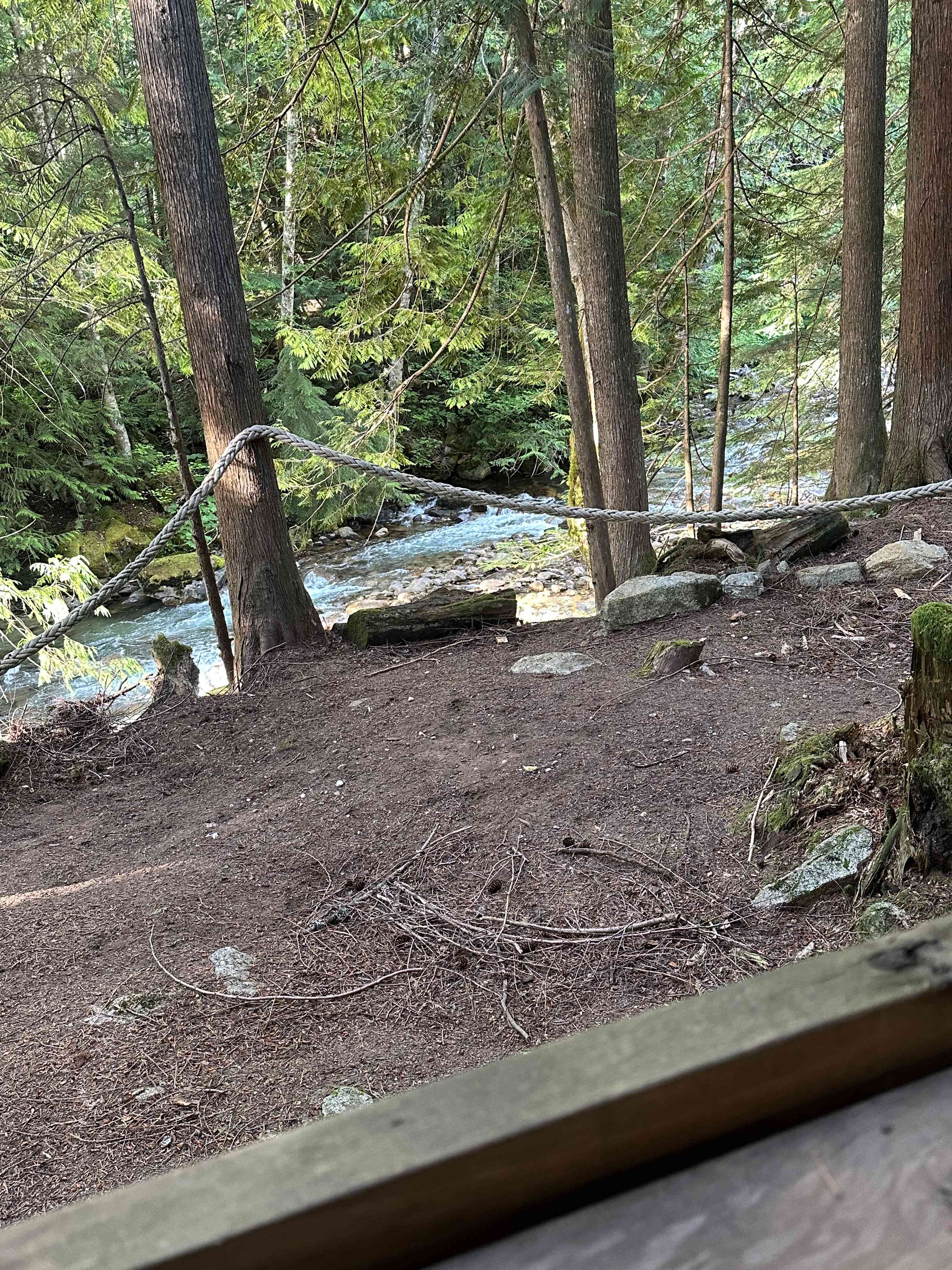 Picture of the site