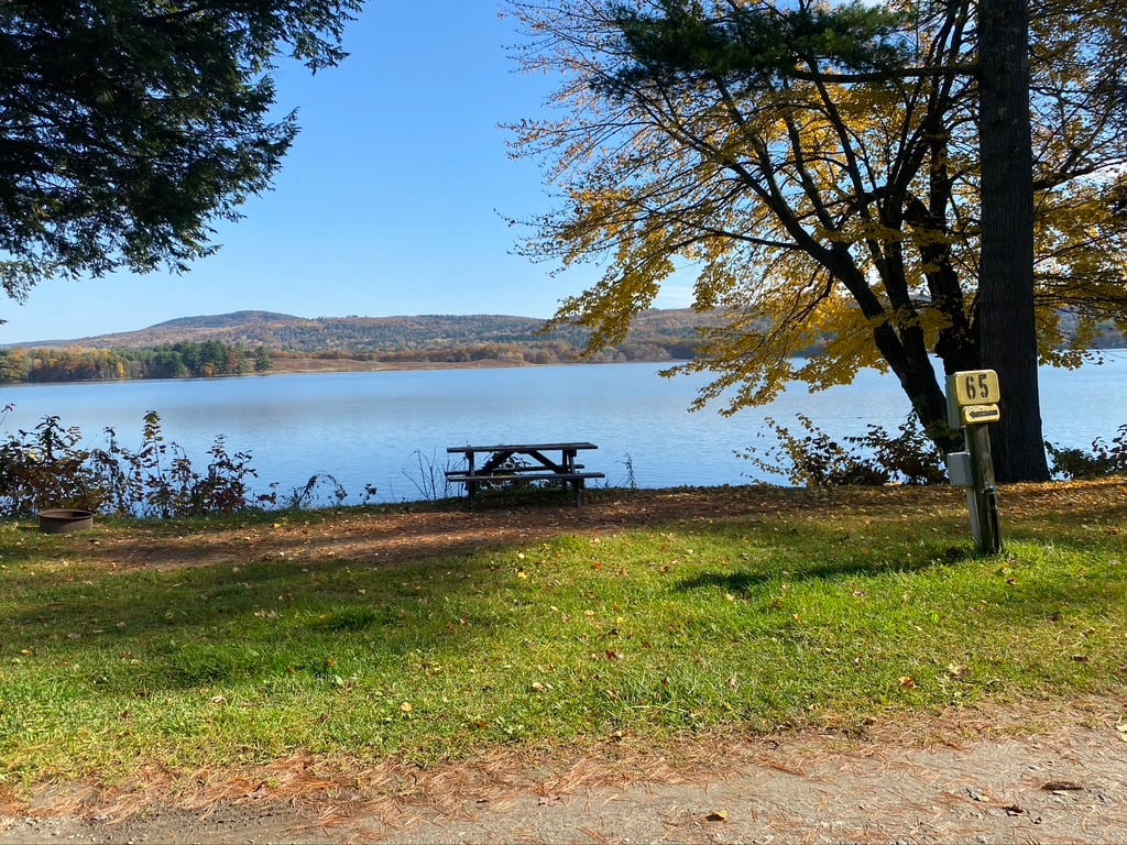 Picture of the site