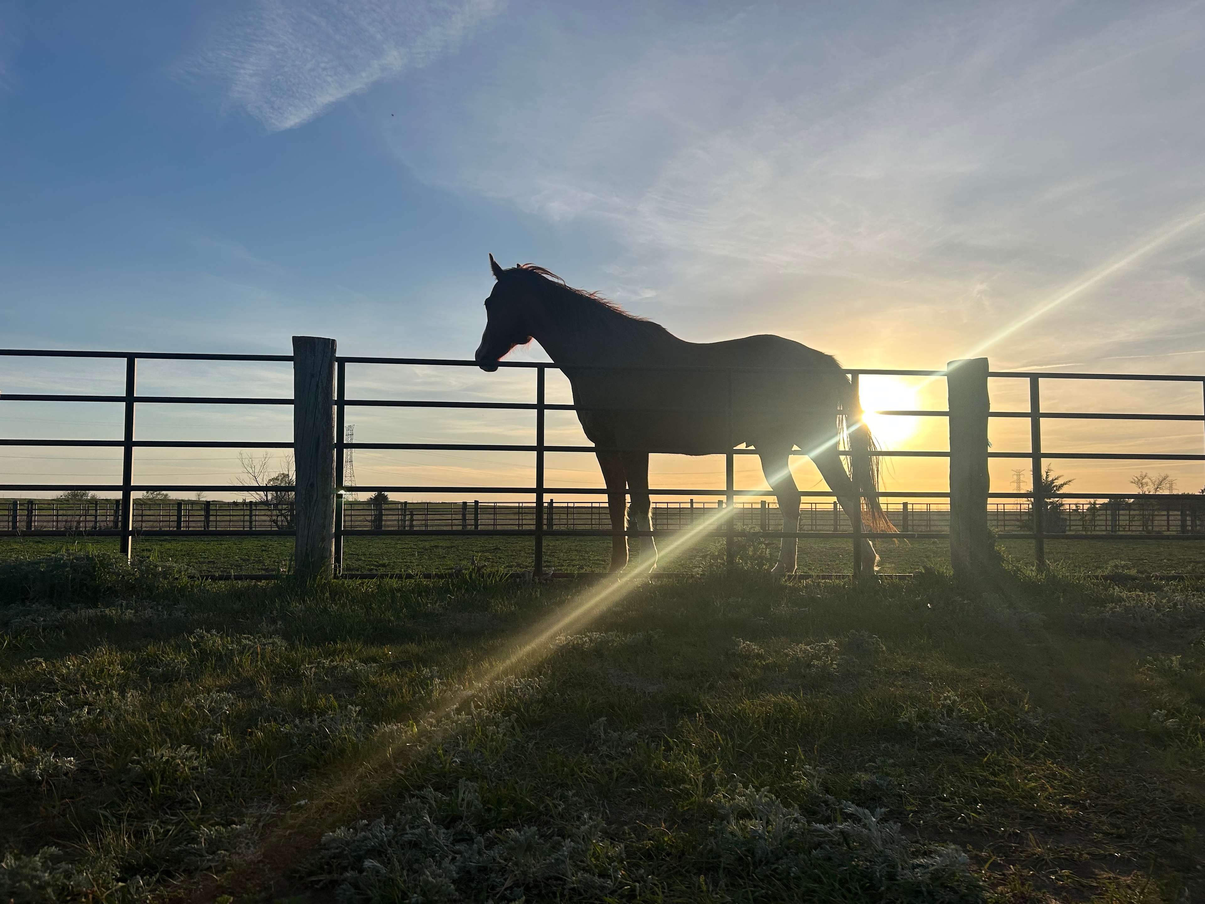 Diamond A Cattle Ranch