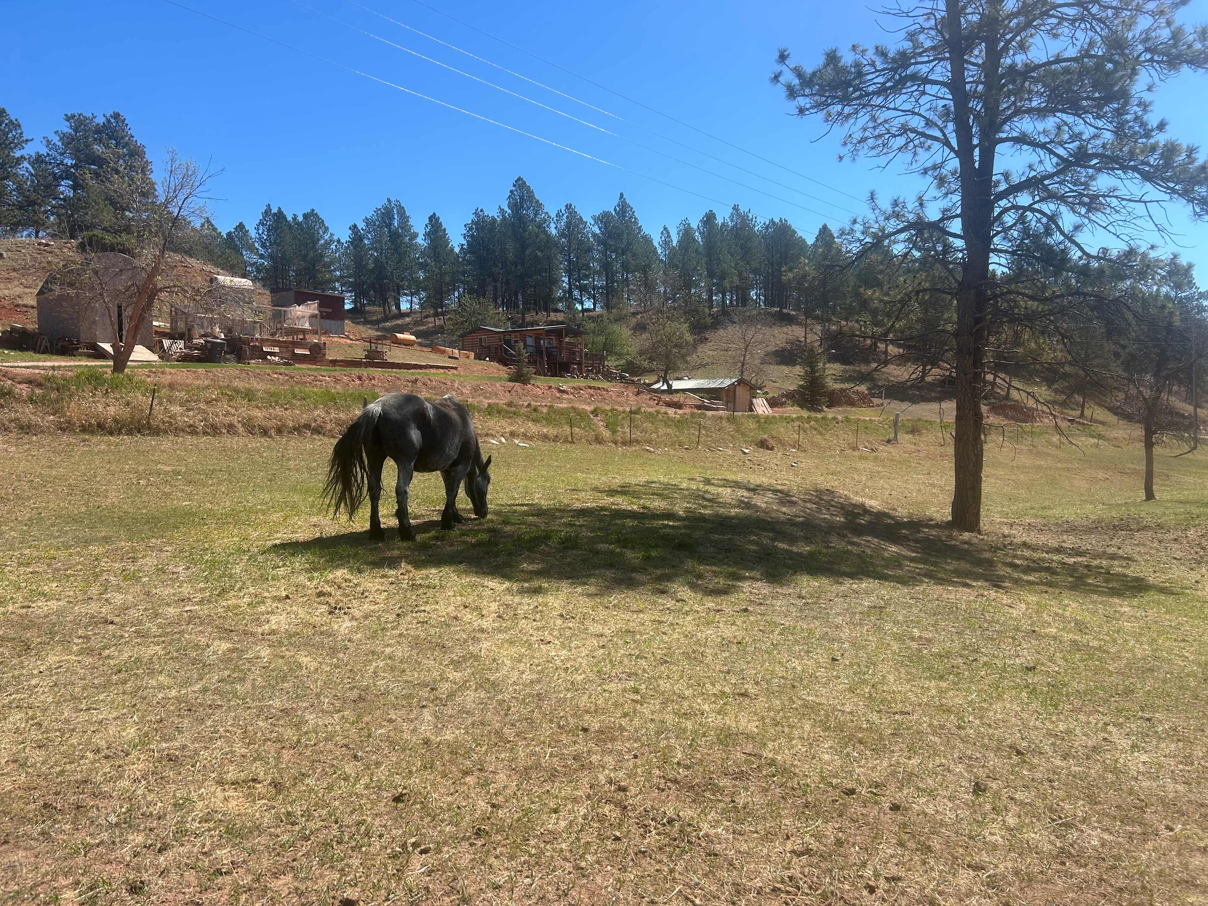 Bear Den Cabins & Camp