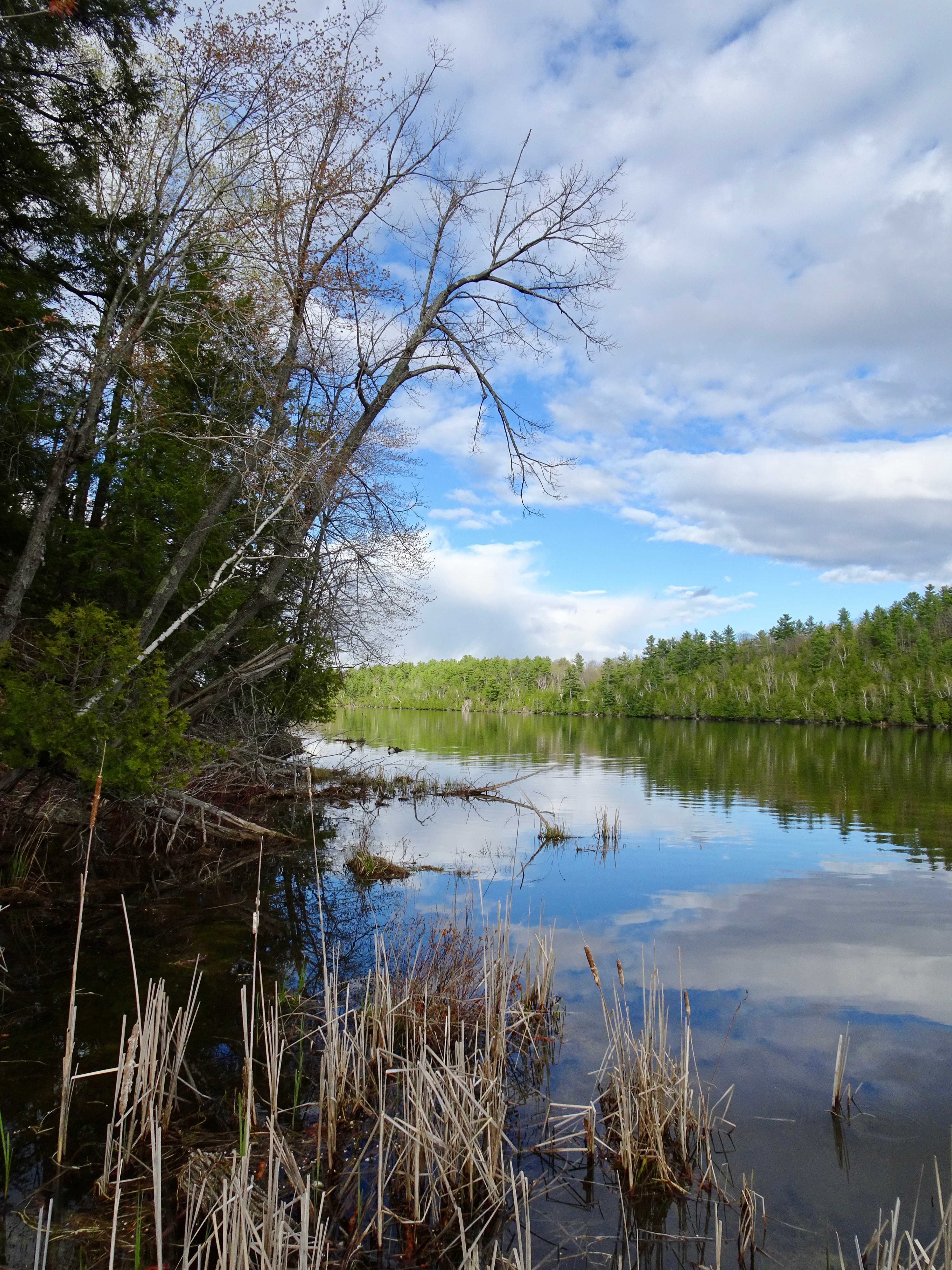 Find some peace at Fagan lake!