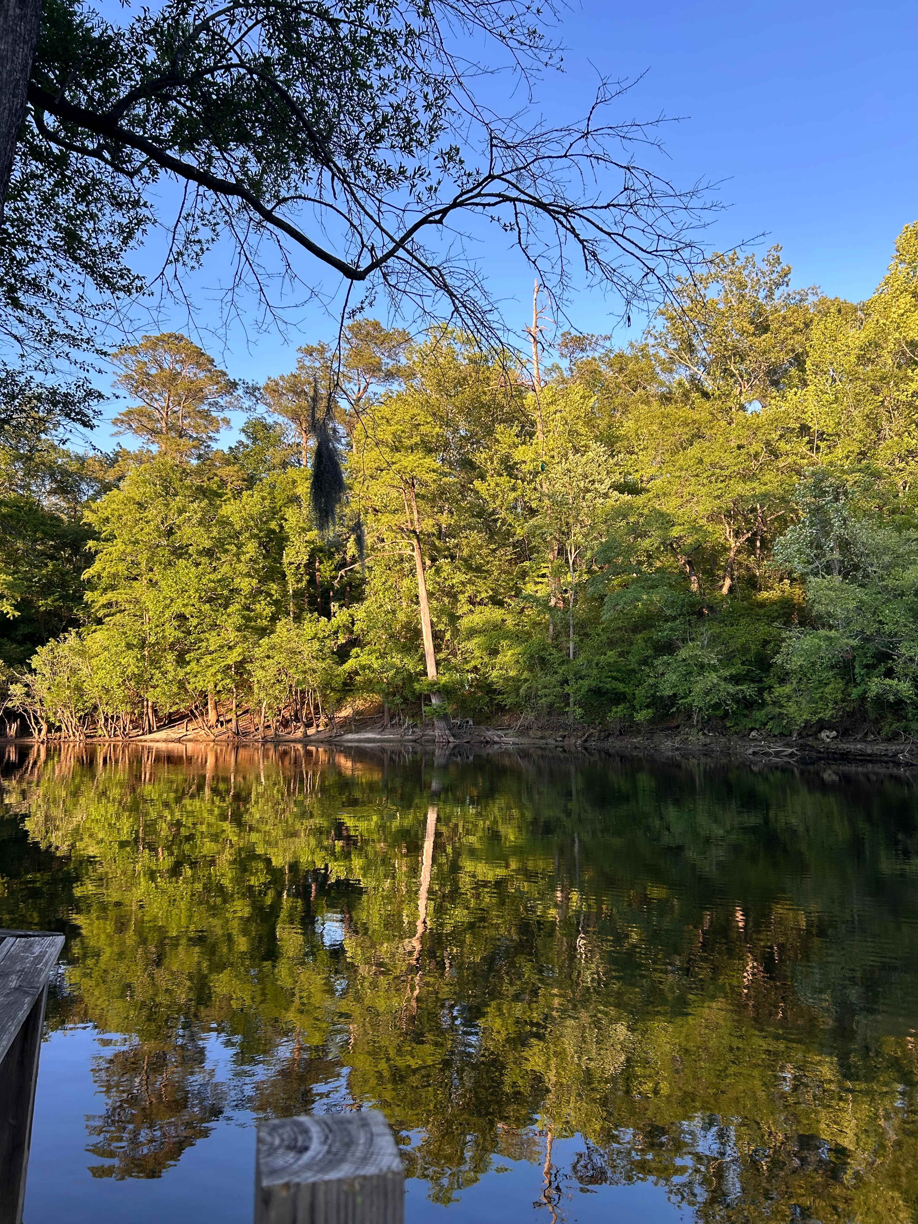 Black River Camping Ventures