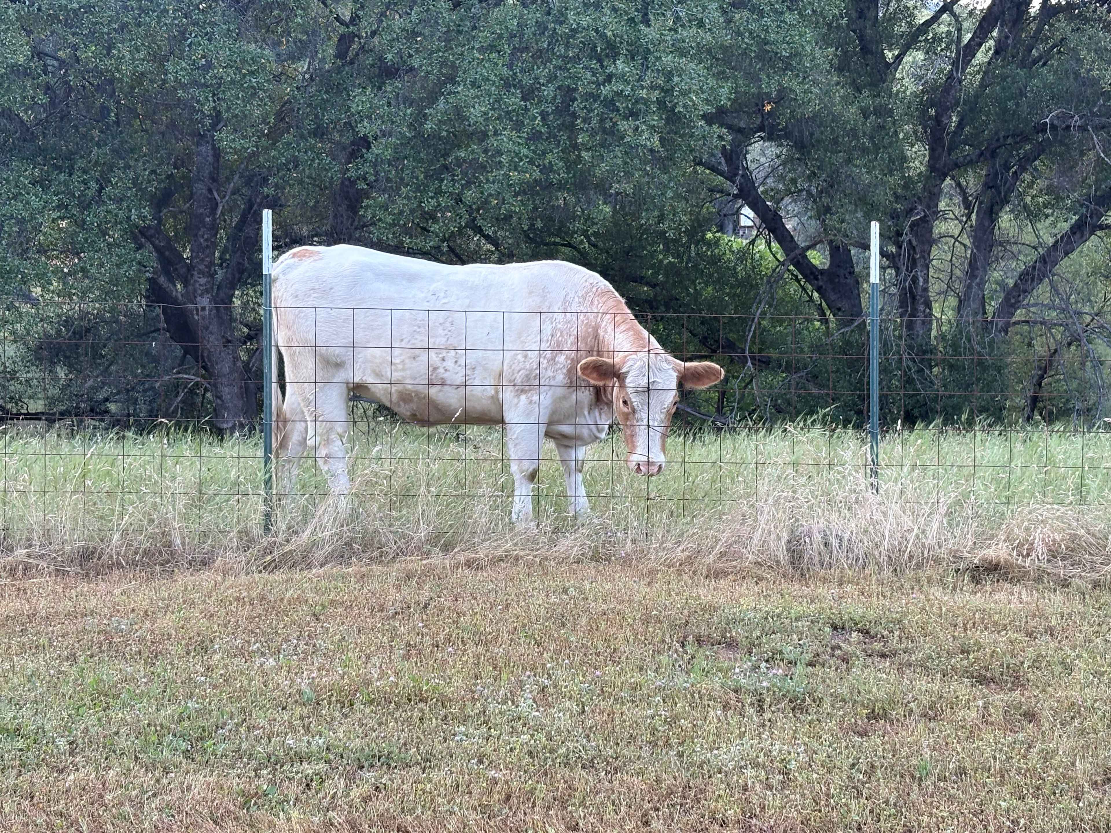 Heart valley ranch