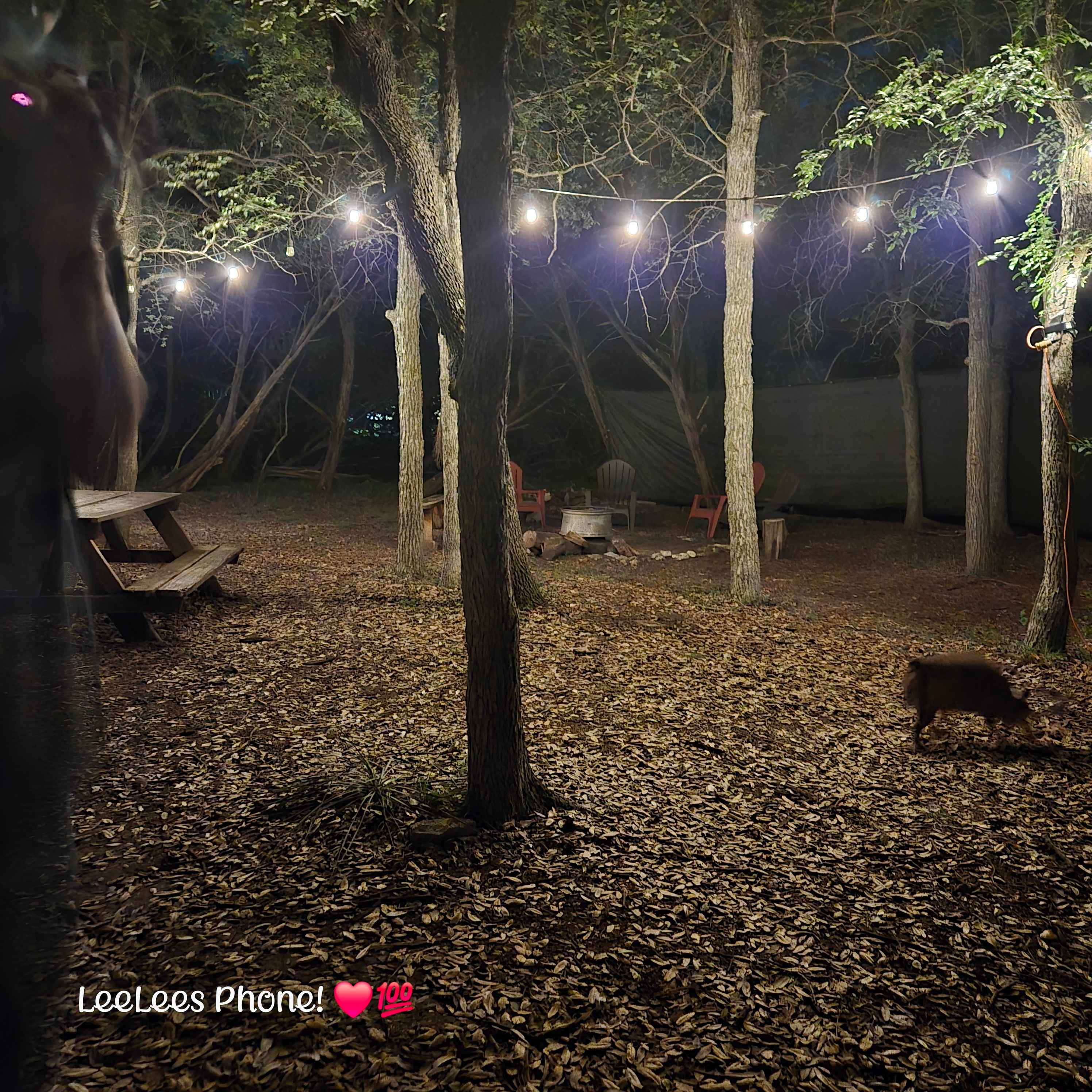 Campsite at night