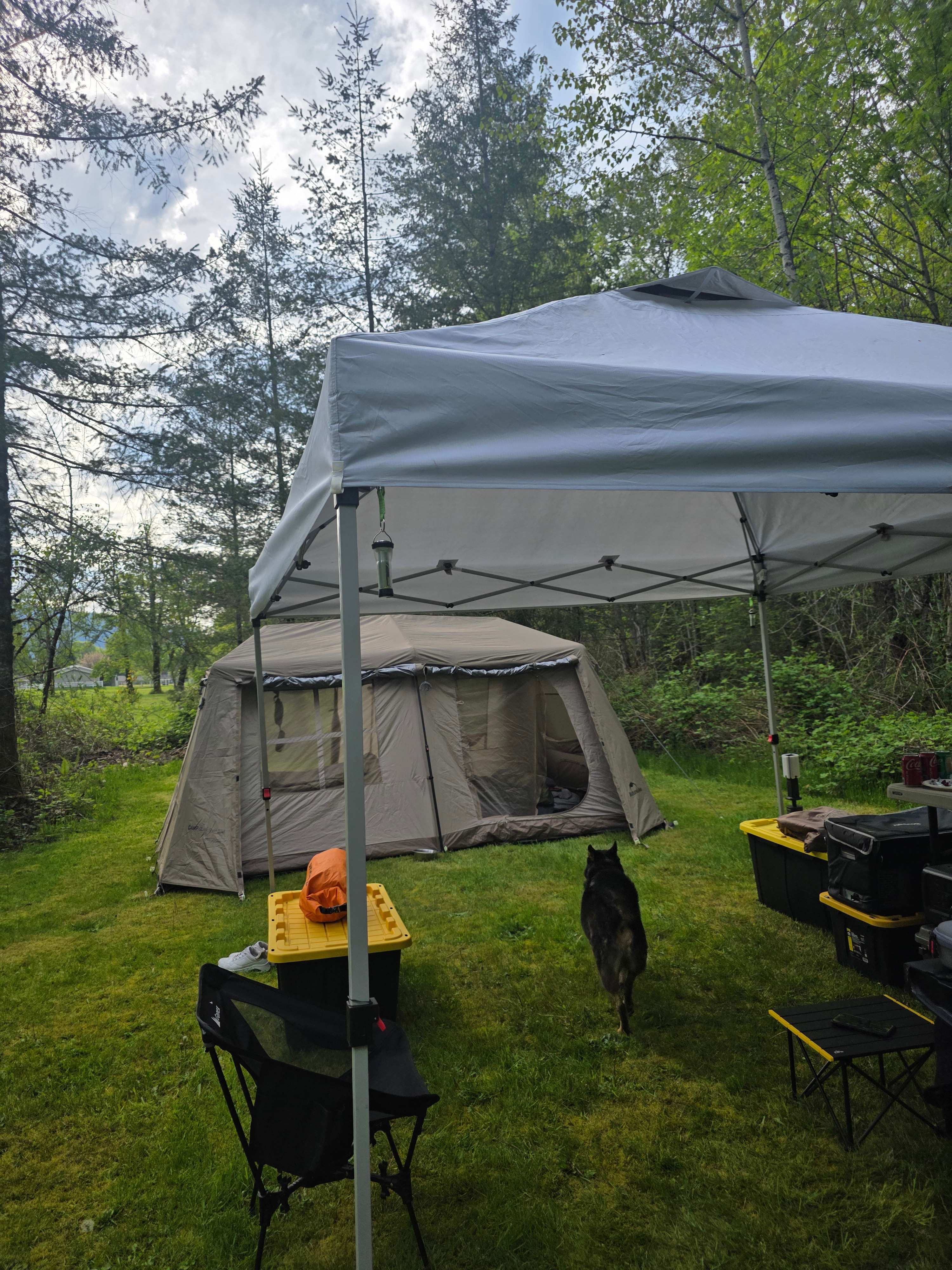 Forested with River Access/Firepit