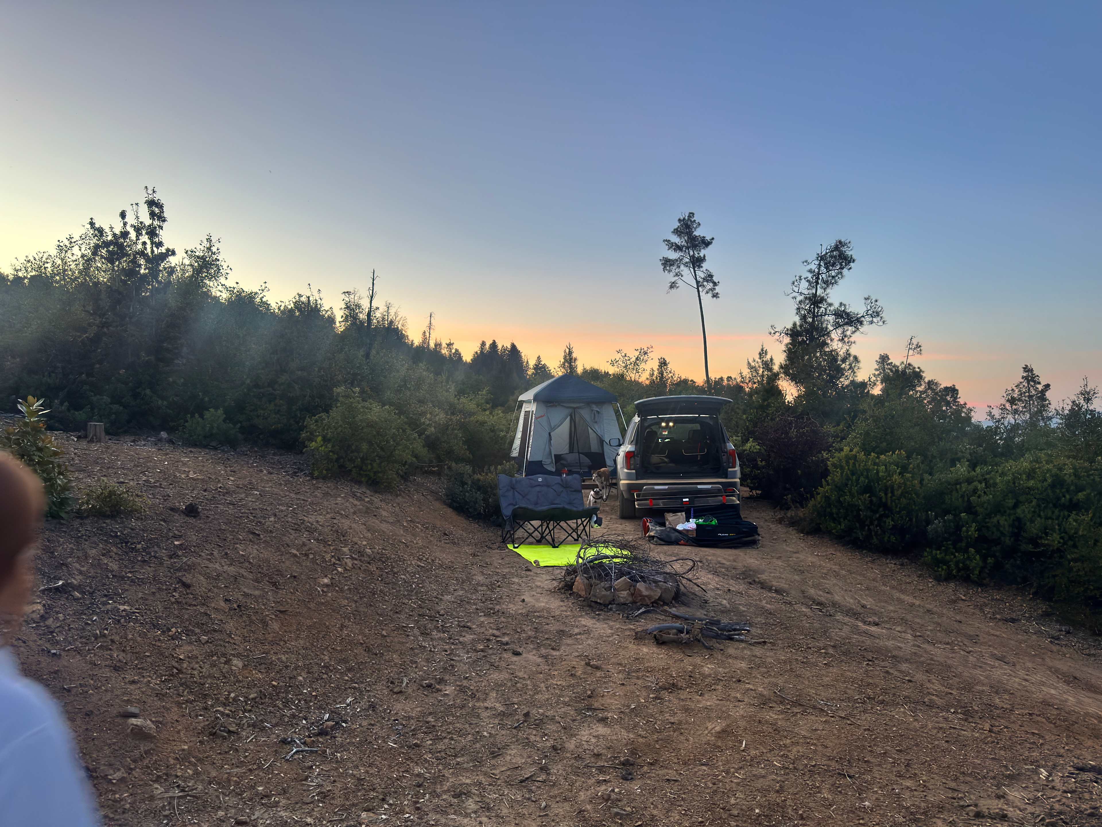 Camp Rewilding